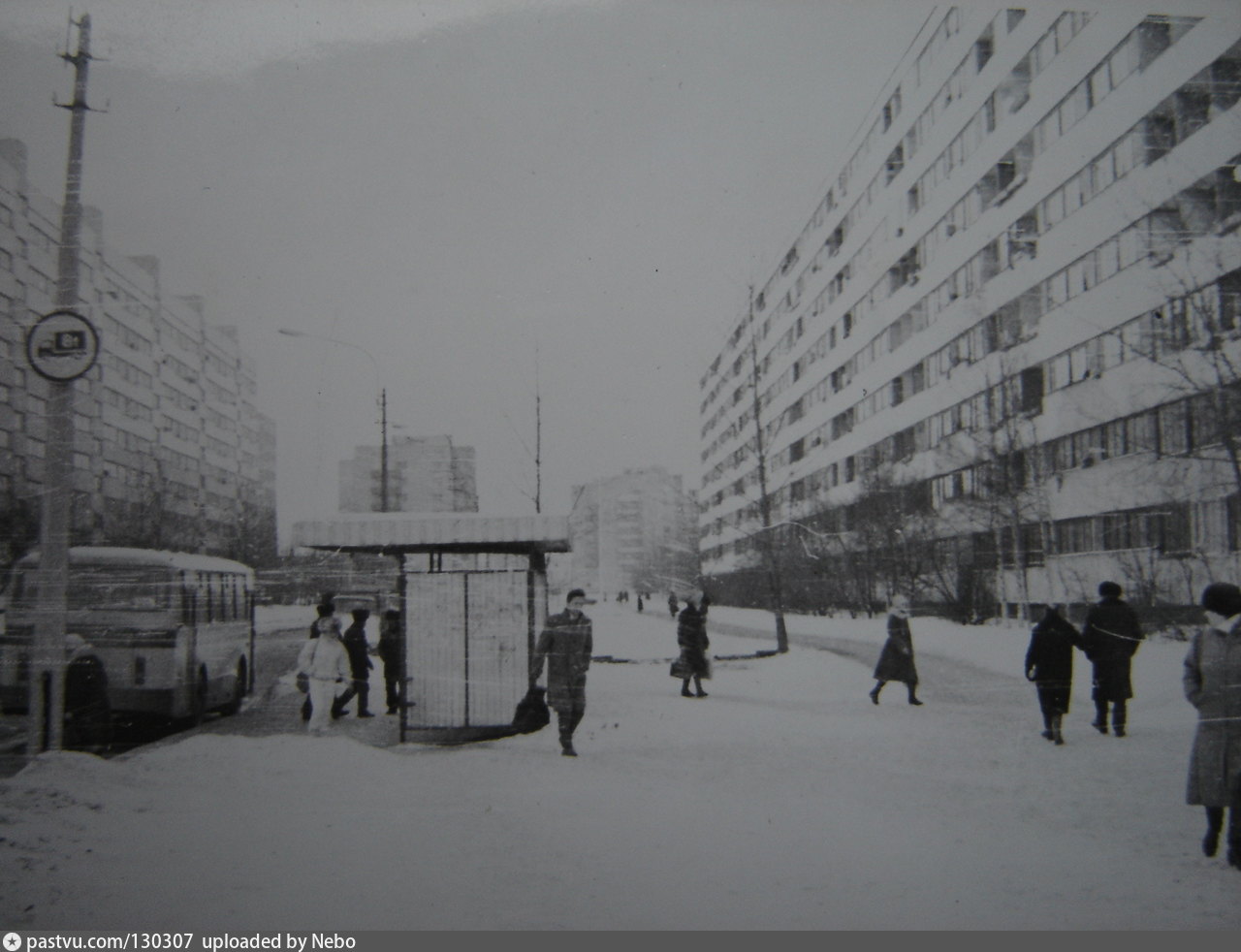 Проспект ветеранов старые фотографии