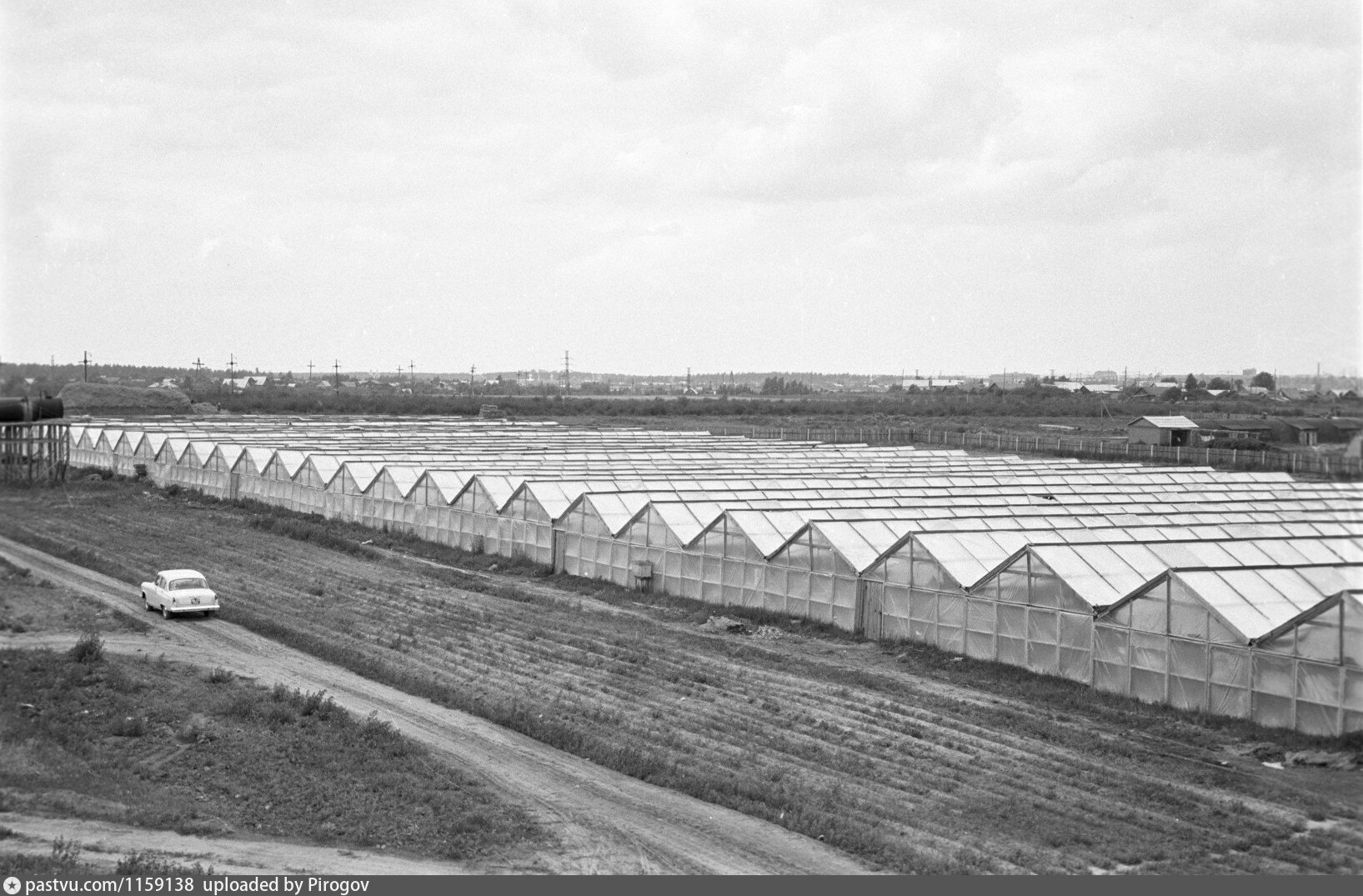 Совхоз фото. Совхоз Ногинский. Теплица в Совхозе Московском в СССР. Совхоз русский Московская область. Закрывающиеся Совхозы.