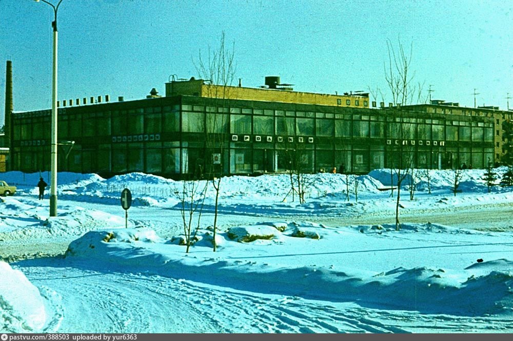 Поселок заря. Поселок Заря Балашиха. Поселок Заря Балашихинский район. Цок Заря Балашиха. Заря поселок в Подмосковье Балашиха.