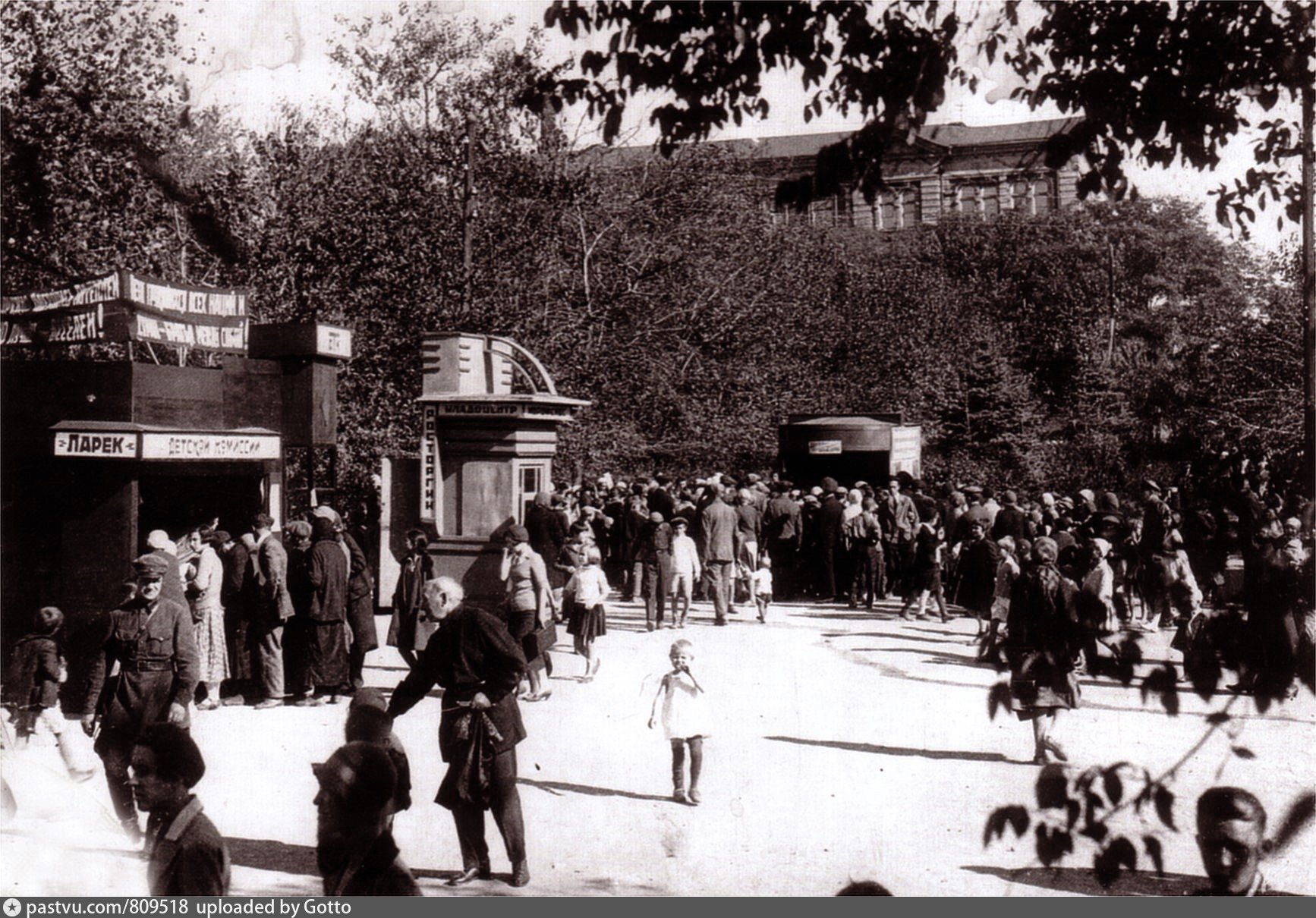 Расцвела смородина в городском саду