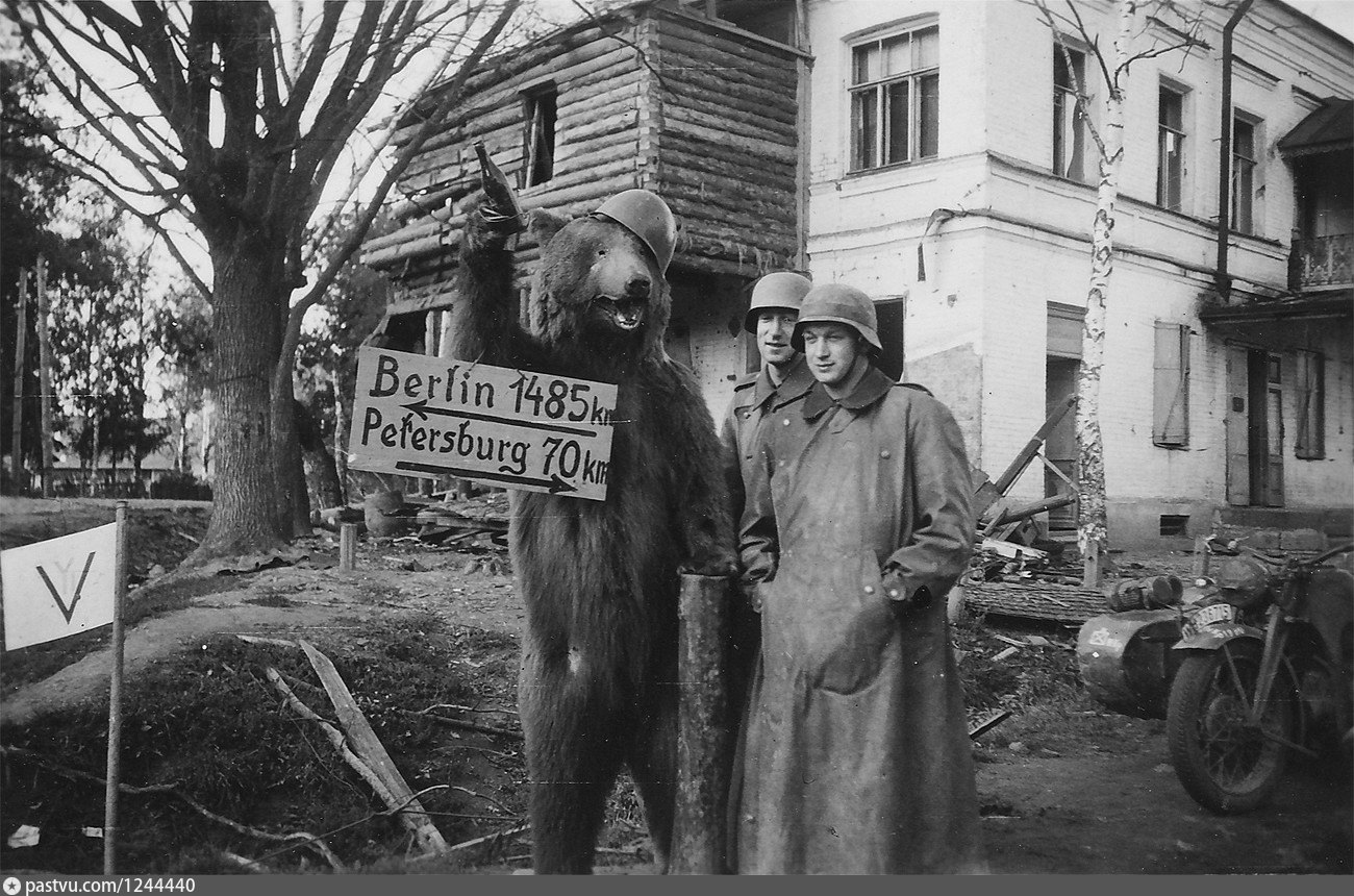 Оккупация ленинградской. Немцы под Ленинградом 1941. Тосно в годы оккупации 1941 г. Гатчина 1941-1945.