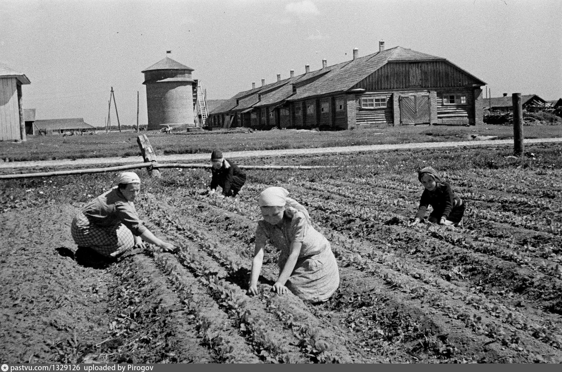 Колхозы в годы войны 1941-1945