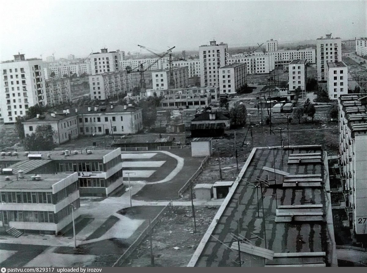 Старого типа. Улица Новаторов 1980. Бульвар Новаторов в 80е. Бульвар Новаторов в 90-е годы. Ленинград дачное в 1960х.