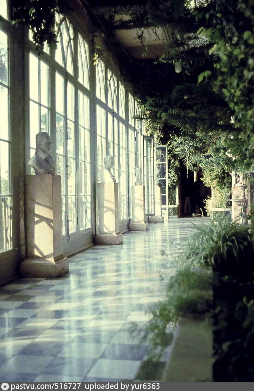 зимний сад воронцовского дворца в алупке