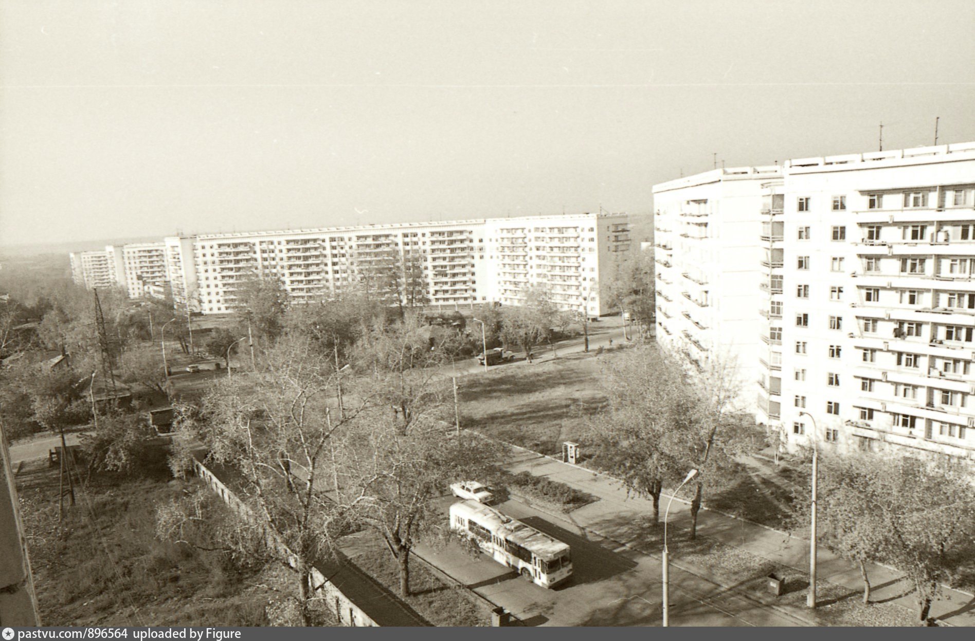 Видом 1999