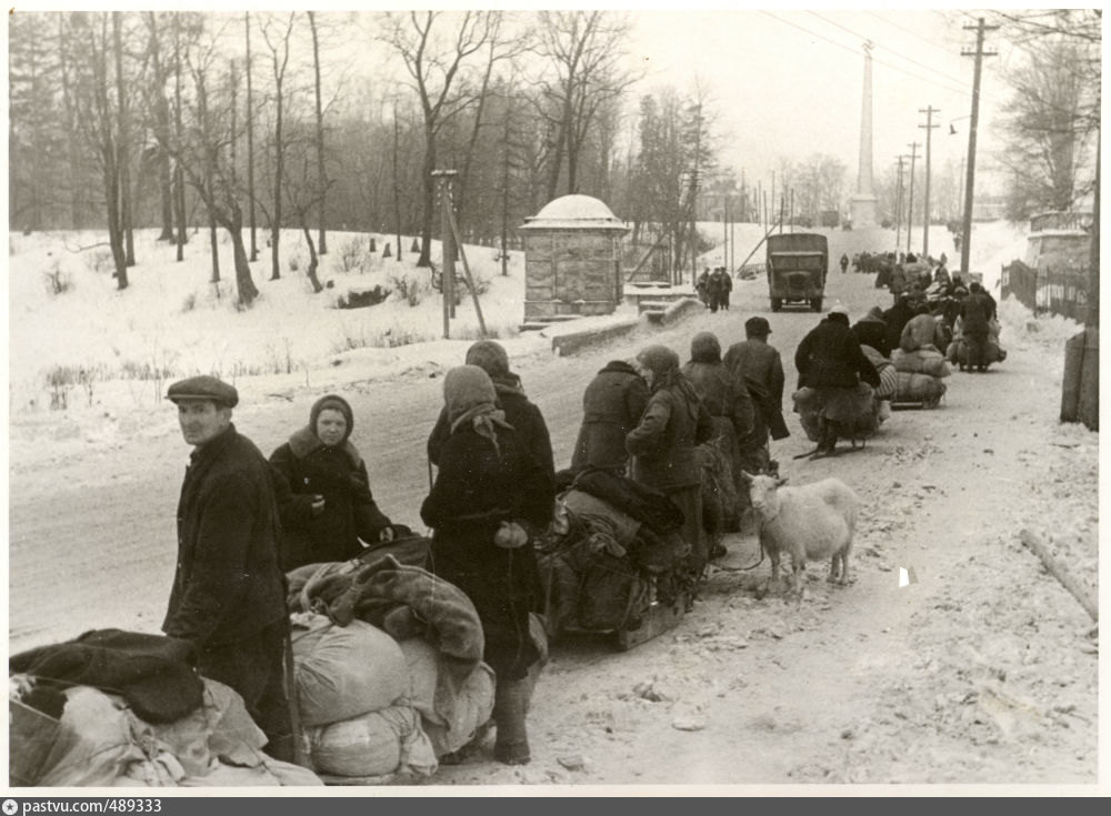 15 октября 1941 года эвакуация. Гатчина в годы оккупации 1941-1944. Гатчина 1941. Гатчина Великая Отечественная война. Немцы в Гатчине 1941.