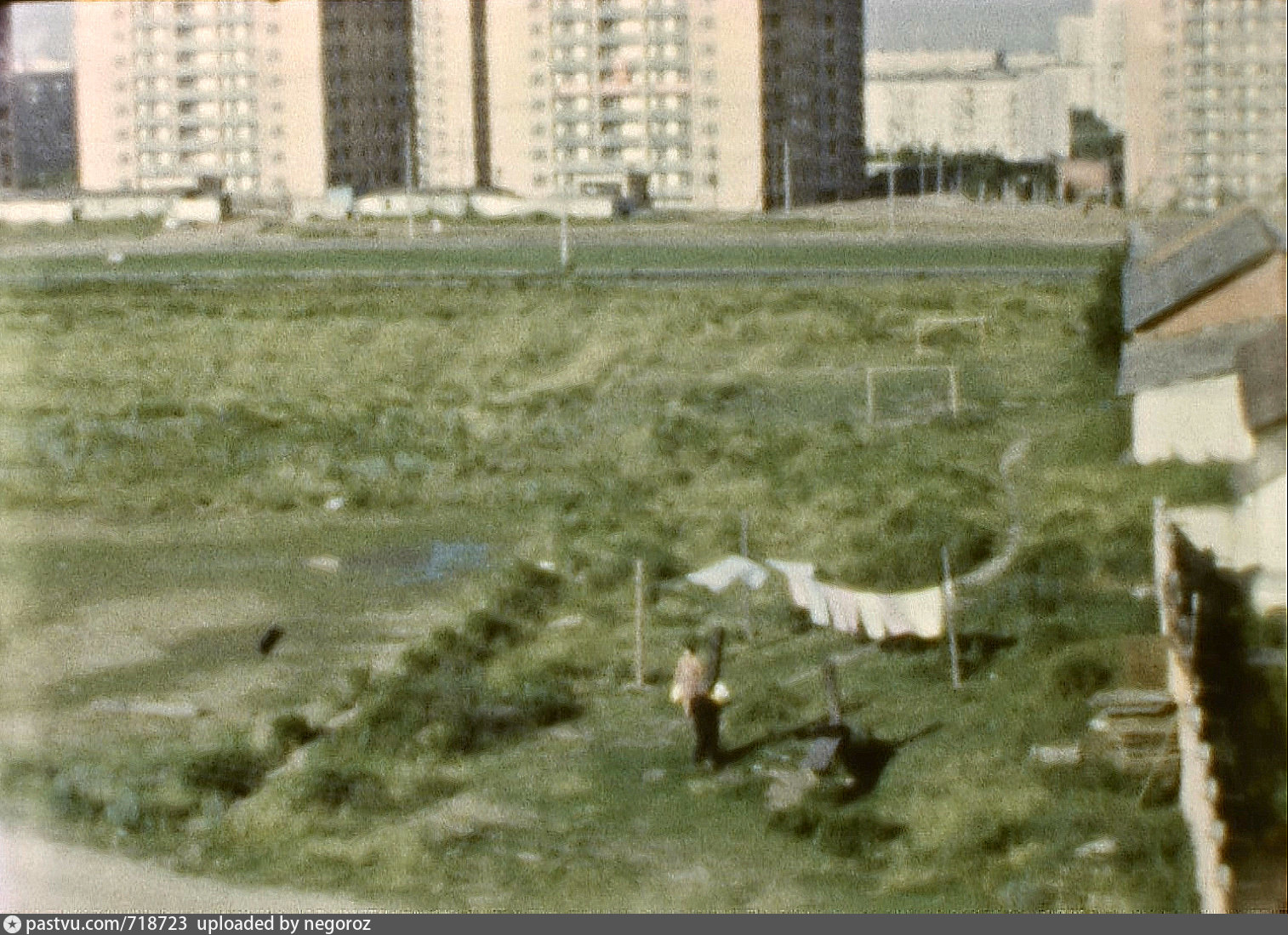 ленино дачное фото