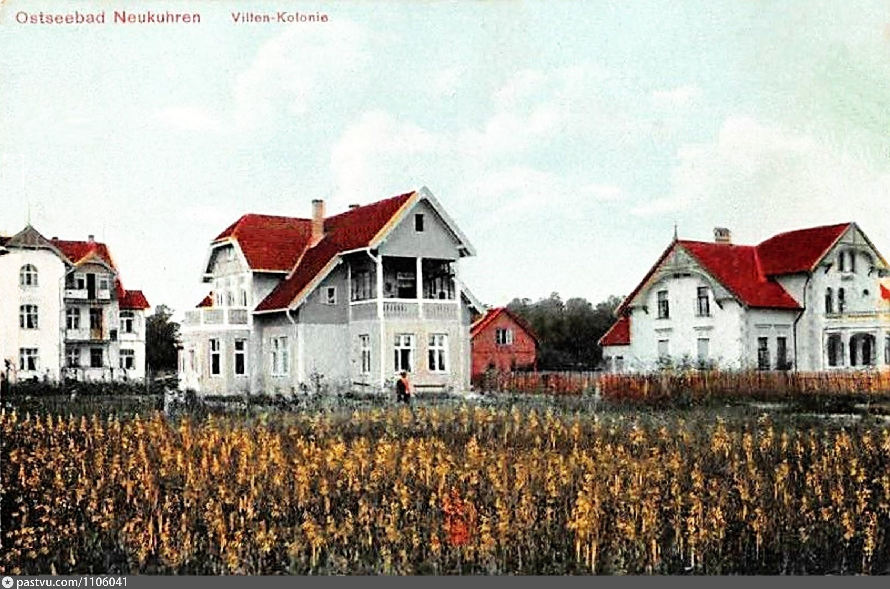 поселок пионерский калининградская область фото