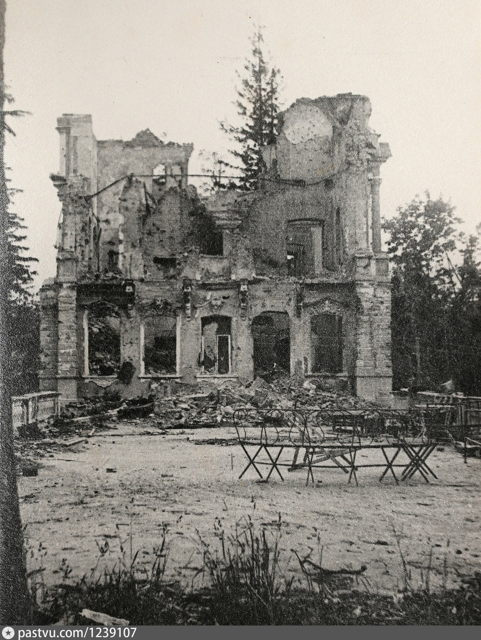 Петергоф после великой отечественной войны фото