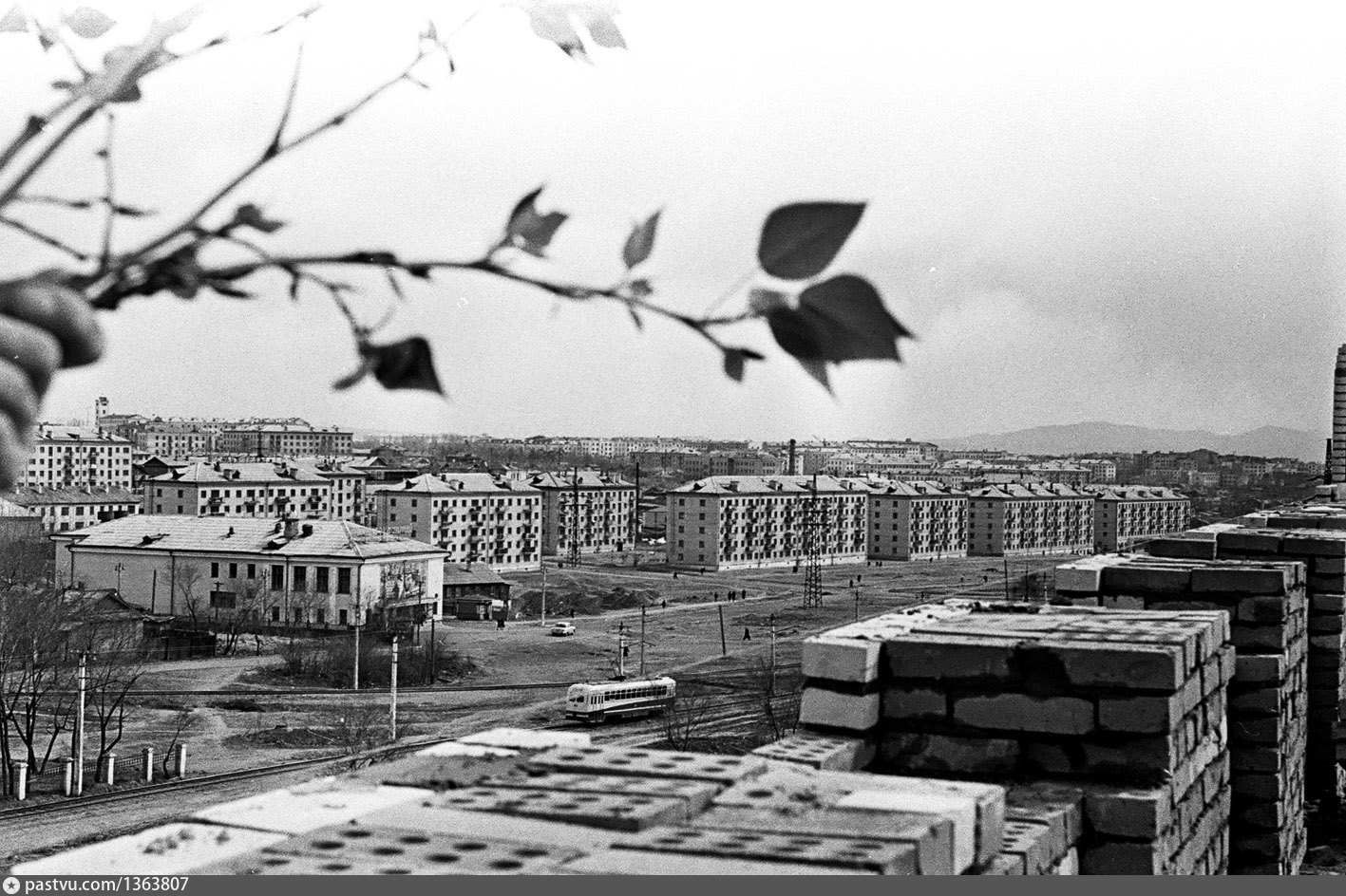 Хабаровский край 2023. Бульвар (1960). Хабаровск Амурский бульвар старые фото. Амурского бульвар на старых фотографиях. История Амурского бульвара Хабаровск.