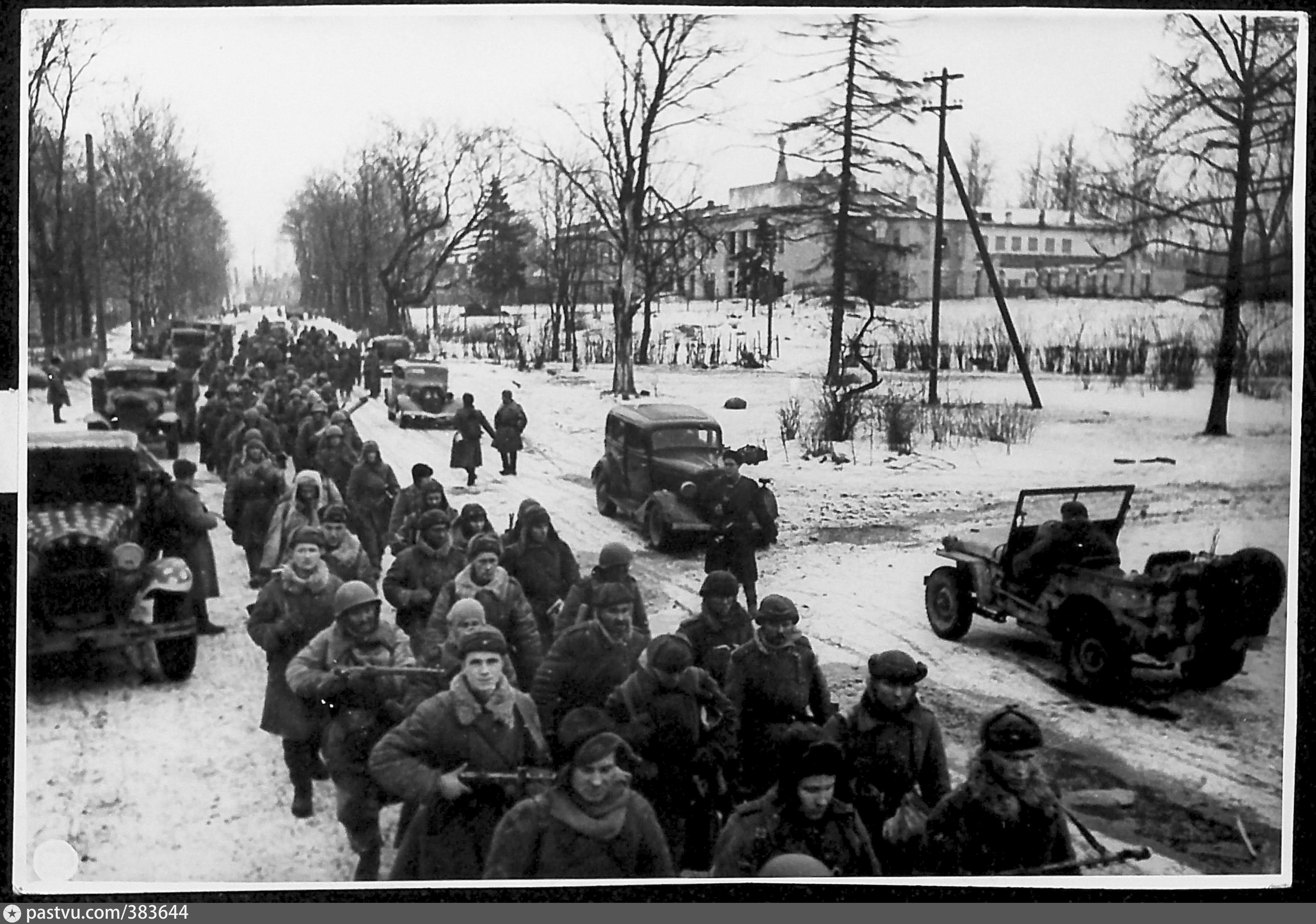 Ленинград 1944 год освобождение