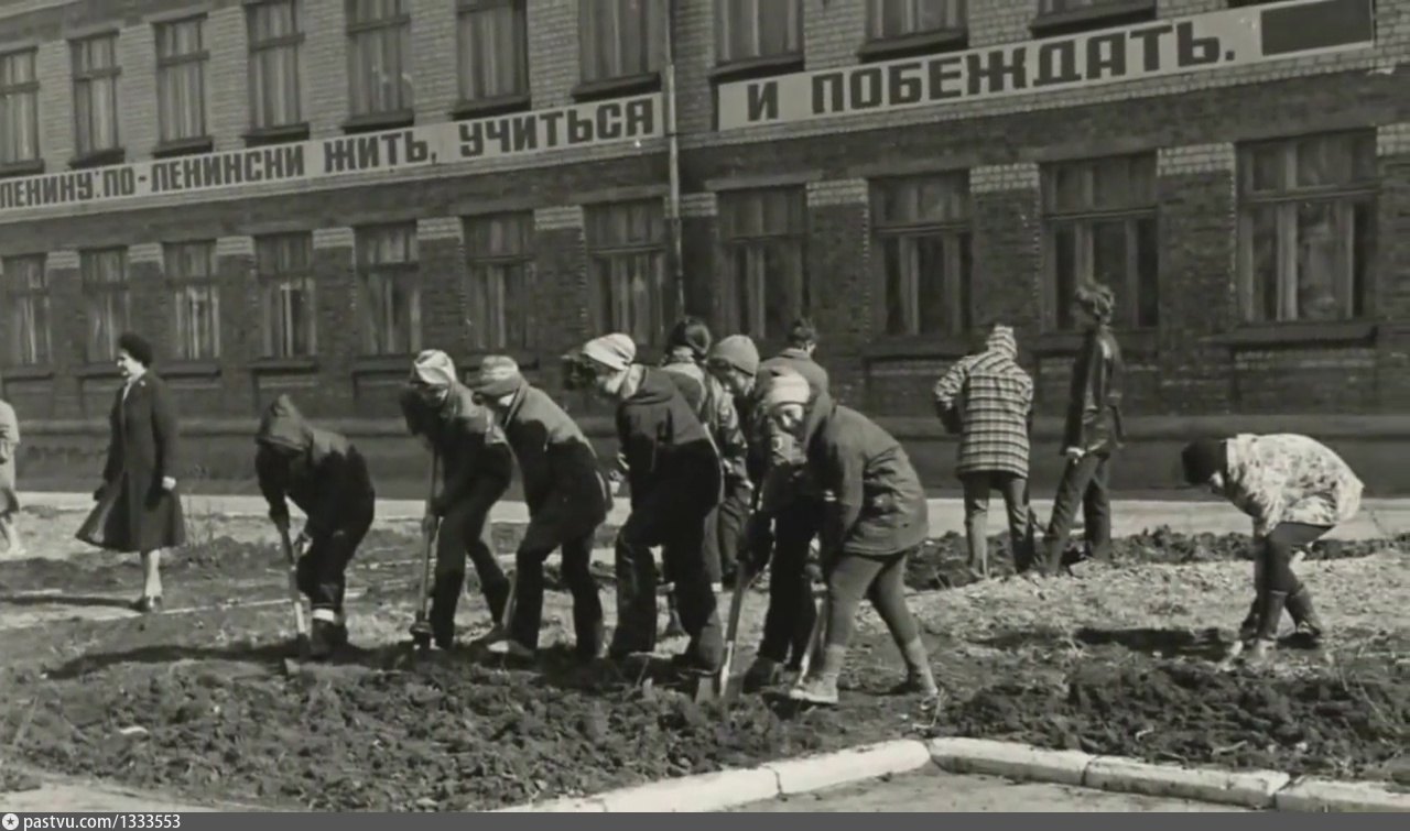 Школа в сталинграде фото