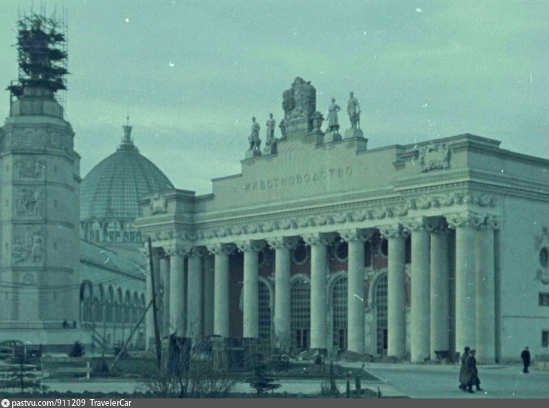 Вднх павильон 42. Павильон профтехобразование на вднх. Павильон 42 коневодство на вднх. Павильон животноводство на вднх. Вднх павильон животноводство выставки.