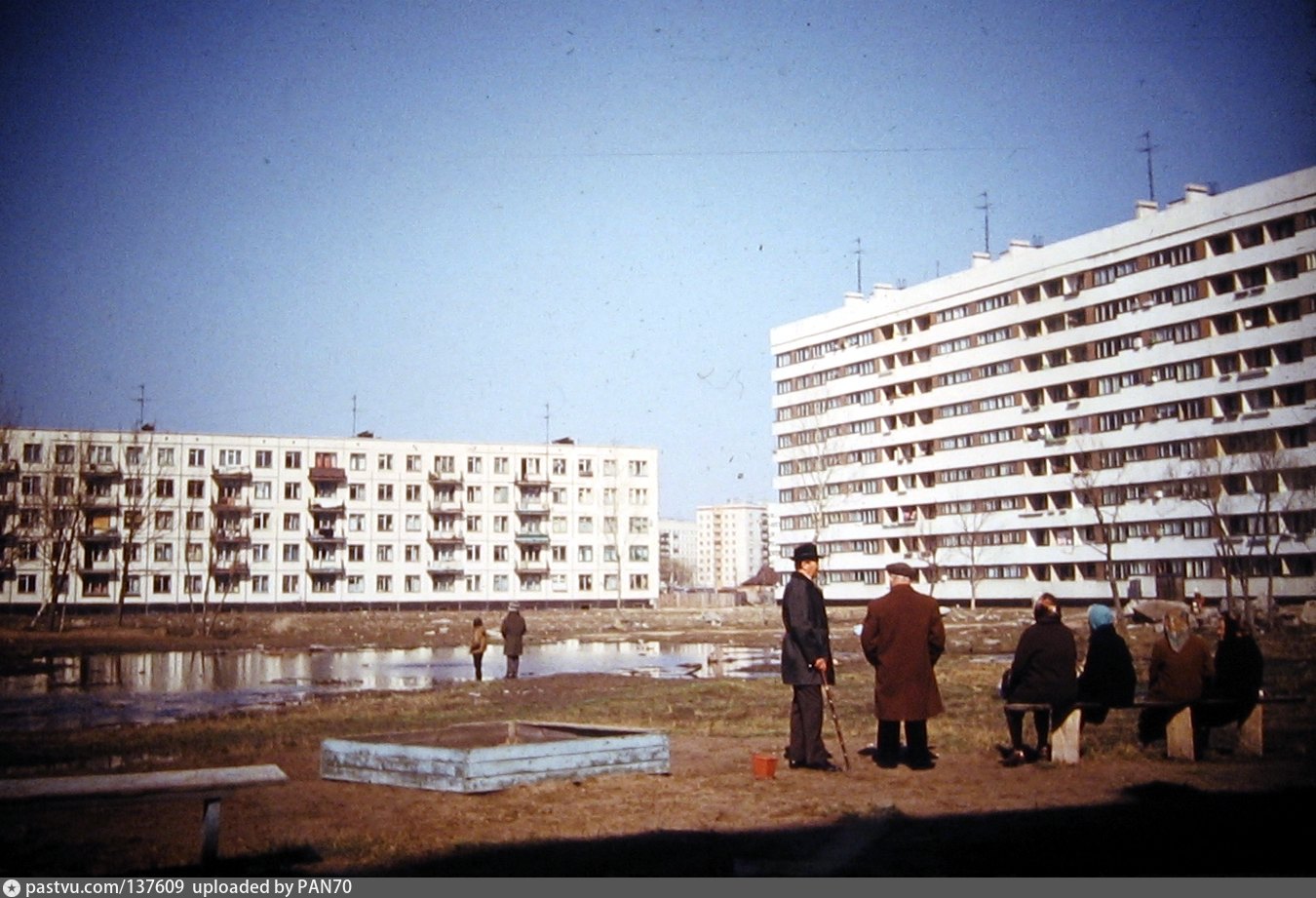 Проспект ветеранов старые фотографии