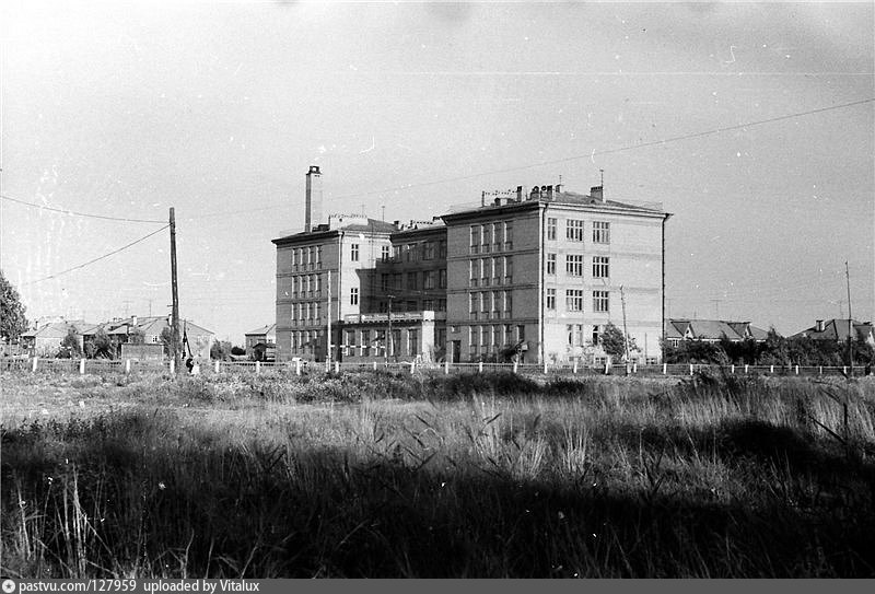 Сосновая поляна. Красносельский район Сосновая Поляна. Сосновая Поляна до революции. Сосновая Поляна Санкт-Петербург район. Ленинград Сосновая Поляна.