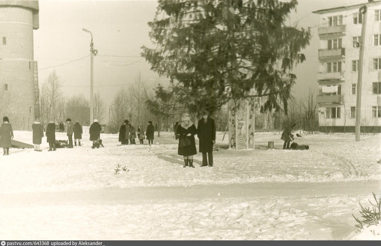 Венюково чехов. Венюково Чехов 1986. Венюково. Венюково елка. Горка Чехов Венюково.