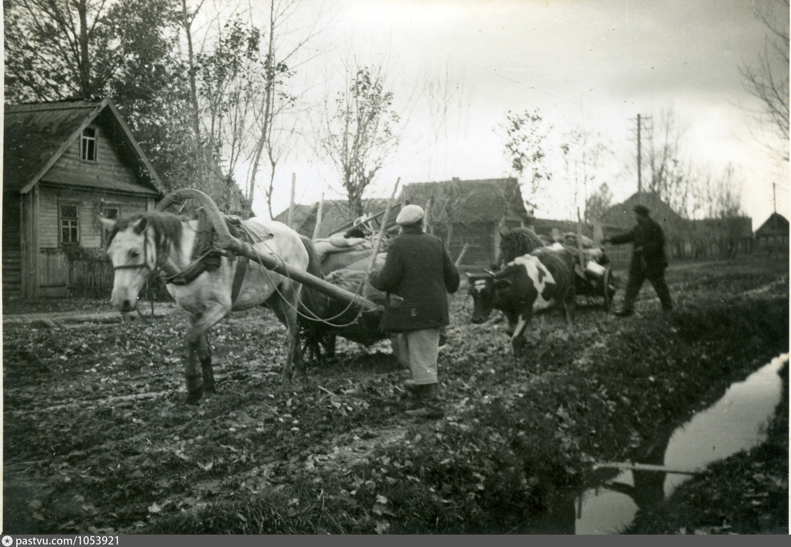 Первые деревни. Дновский район 1941- 1945. Деревни Псковской области до 1941. Деревня Кудрявцы Псковская область 1941. Станция дно 1941.