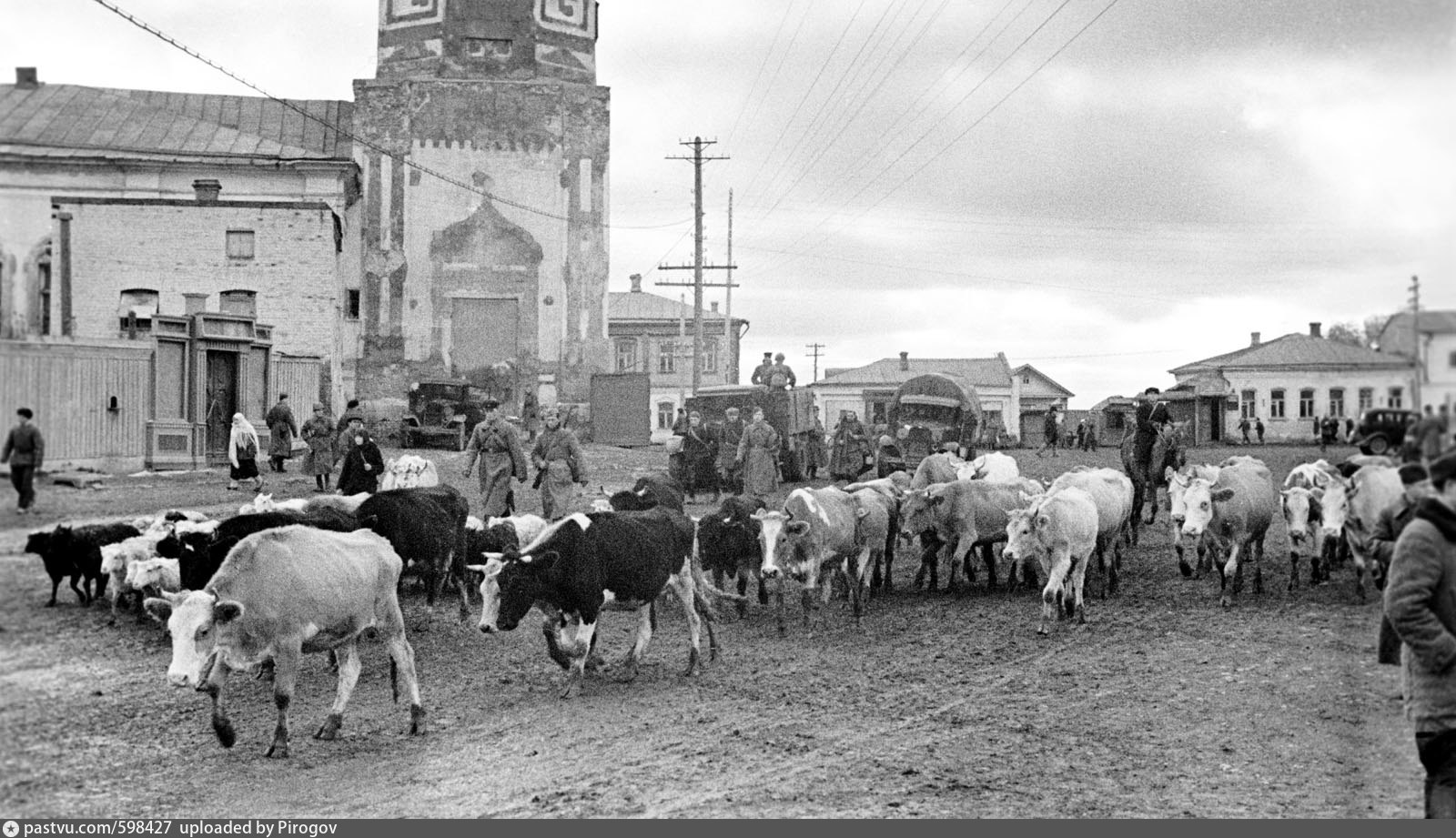 Фронтовая полоса пропуская гурты колхозного скота. Эвакуация скота 1941. Перегон скота в годы ВОВ. Сельское хозяйство 1941. Коровы в Великую отечественную войну.