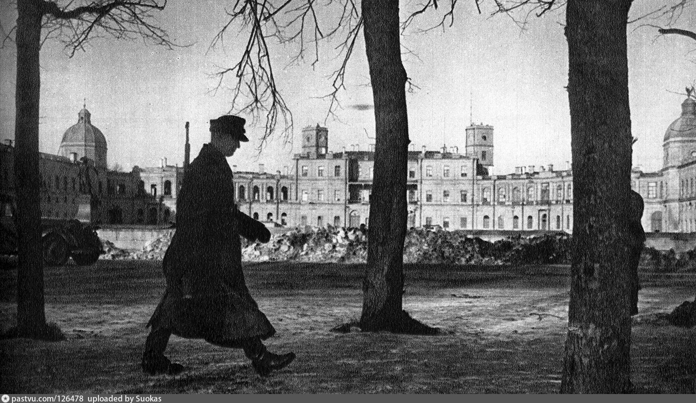 Оккупация пушкина. Гатчина 1941. Гатчинский дворец 1941. Гатчина. Оккупация 1941-1944. Гатчинский дворец ВОВ.