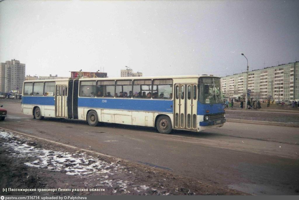 Ленинградский транспорт. Икарус проспект Просвещения. Икарус 280.03. ЛИАЗ В Ленинграде. Икарус 280.03 синий.