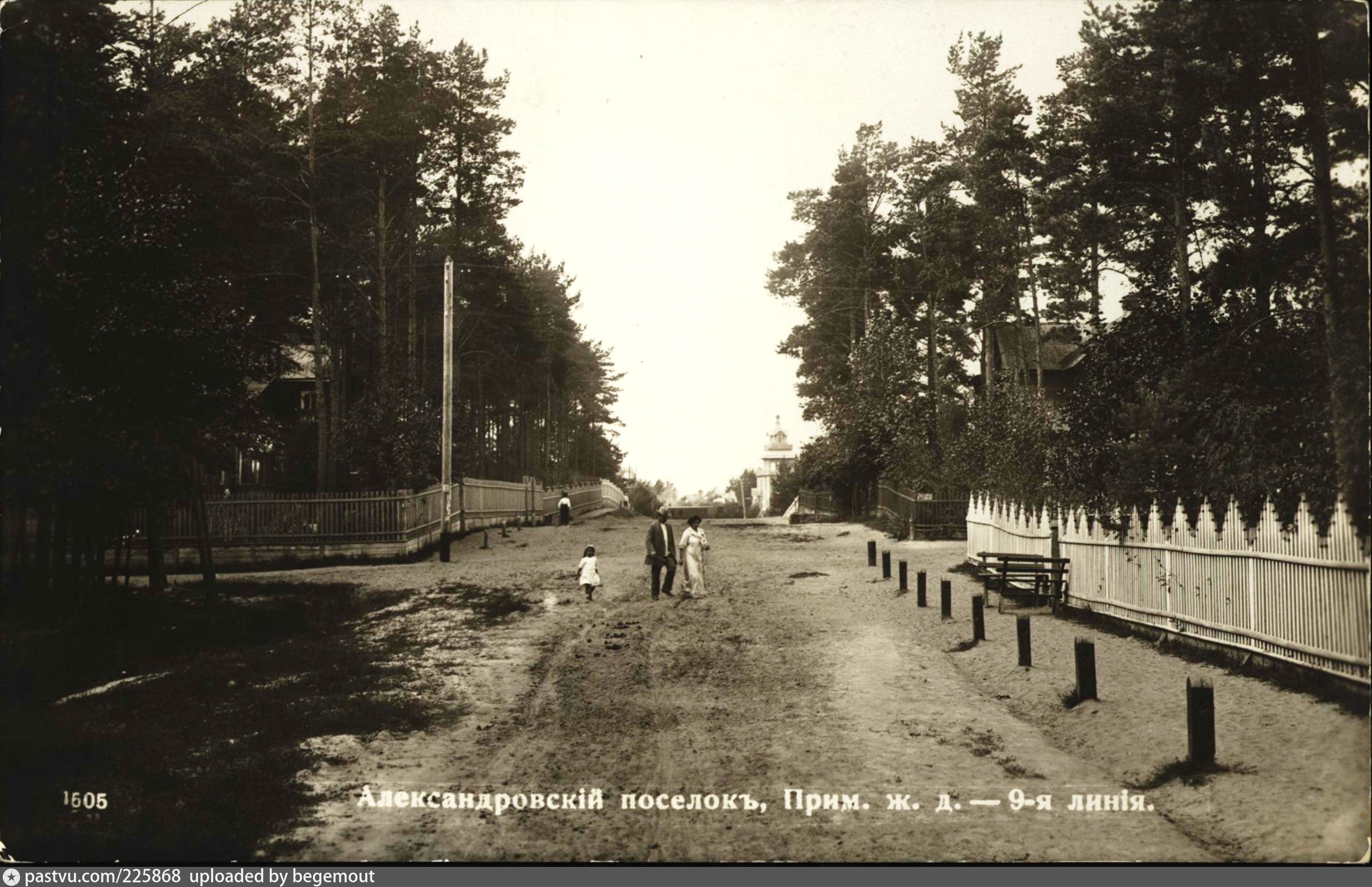 Поселок александровская. Александровский поселок и Удельная. Сестрорецк Александровская. Александровская поселок СПБ Сестрорецк. Посёлок Парголово - посёлок Александровская.