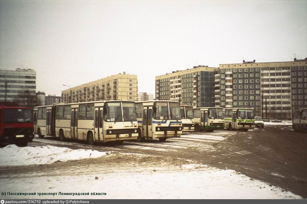 Жени егоровой. Шувалово Озерки 90 е. Жени Егоровой Автобусный кольцо. Улица жени Егоровой 1990. Улица жени Егоровой Автобусный парк.