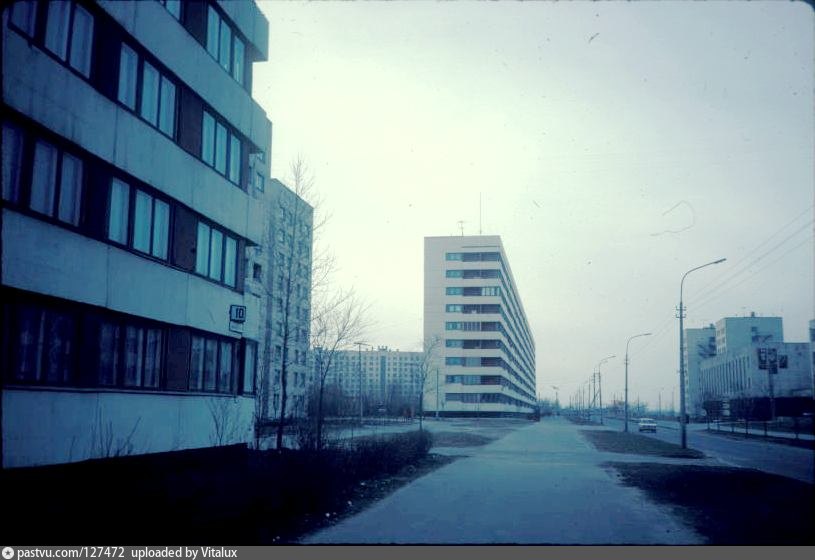 Проспект ветеранов старые фотографии