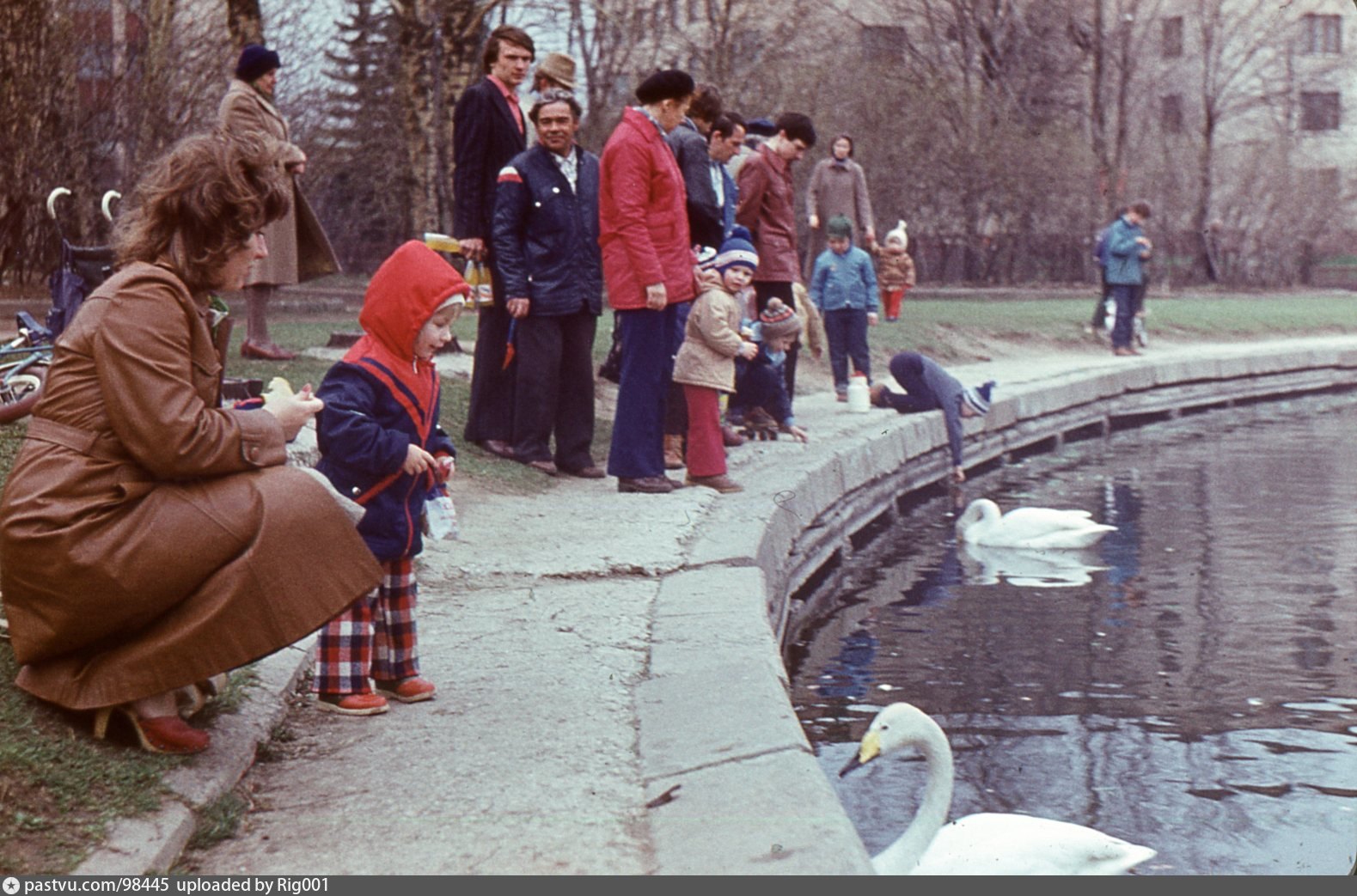 Прогулка год. 1982 Год. Москва 1982 год. Пруд у китайского посольства. 1982 Год фото.