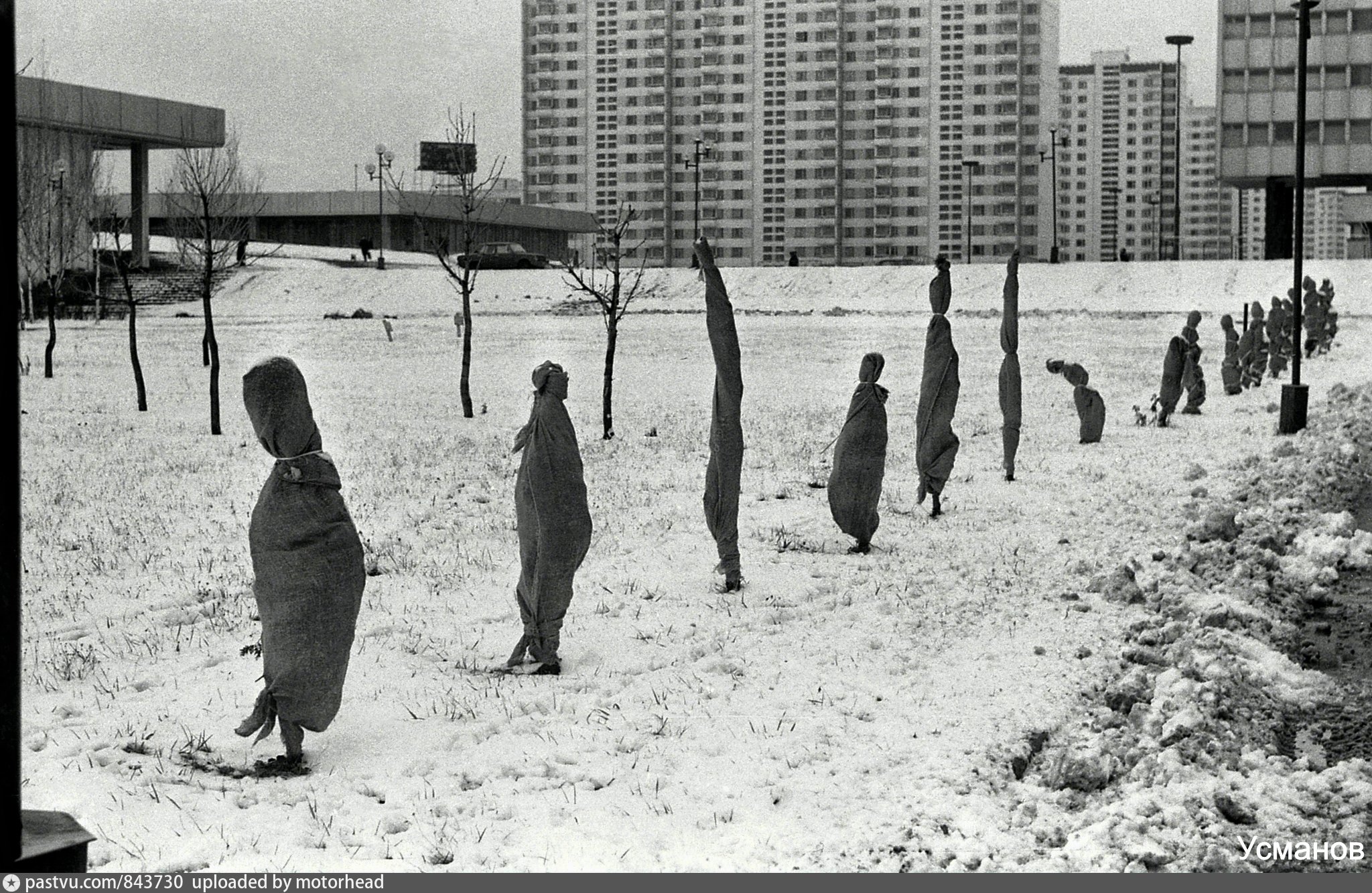 олимпийская деревня в москве 1980