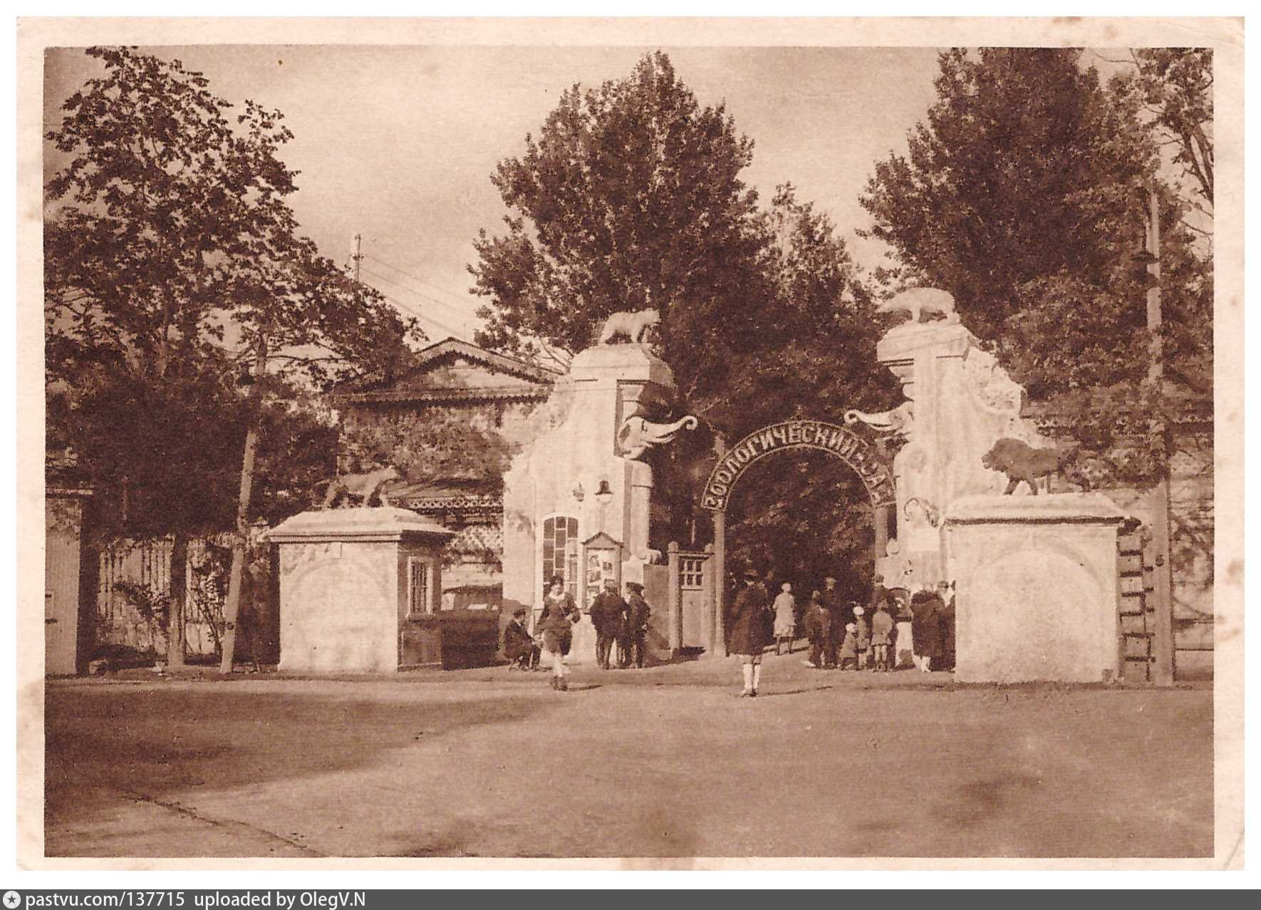 Ленинградский зоопарк красавица. Ленинградский зоопарк в блокаду Ленинграда. Ленинградский зоосад в годы блокады. Ленинградский зоопарк 1941. Ленинградский зоопарк в блокаду.