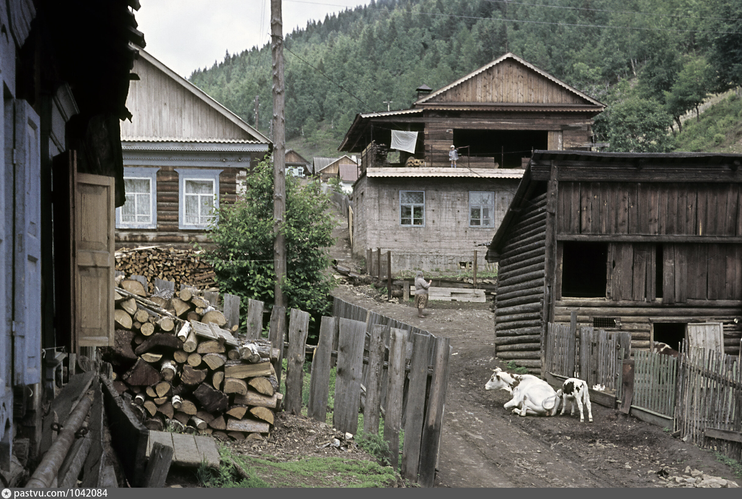 Фото старой листвянки