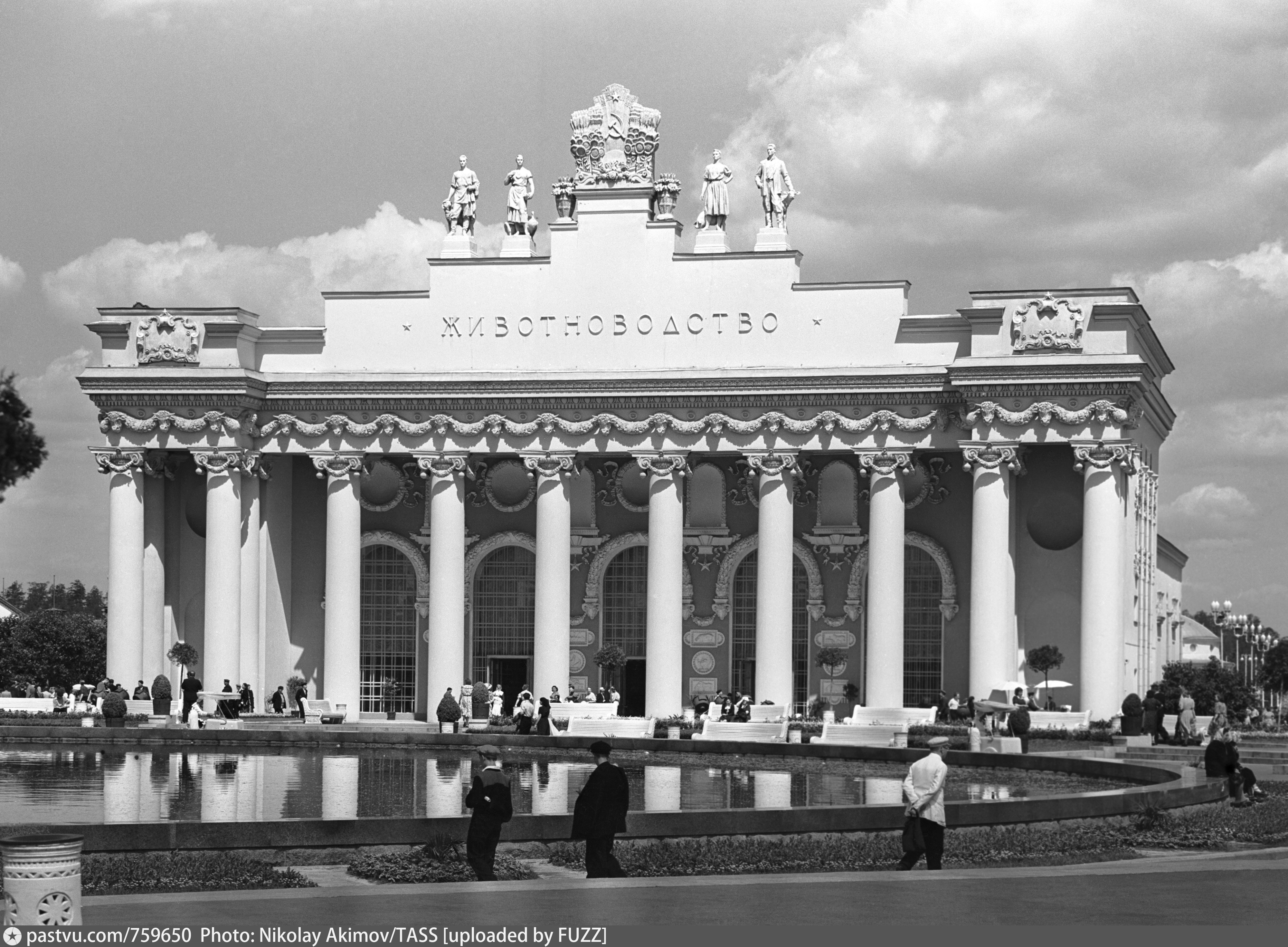 Народное хозяйство москва. Павильон животноводство на ВДНХ. Павильон Москва ВДНХ 1954. Павильон животноводство на ВДНХ 1954. Центральный павильон ВДНХ 1956.