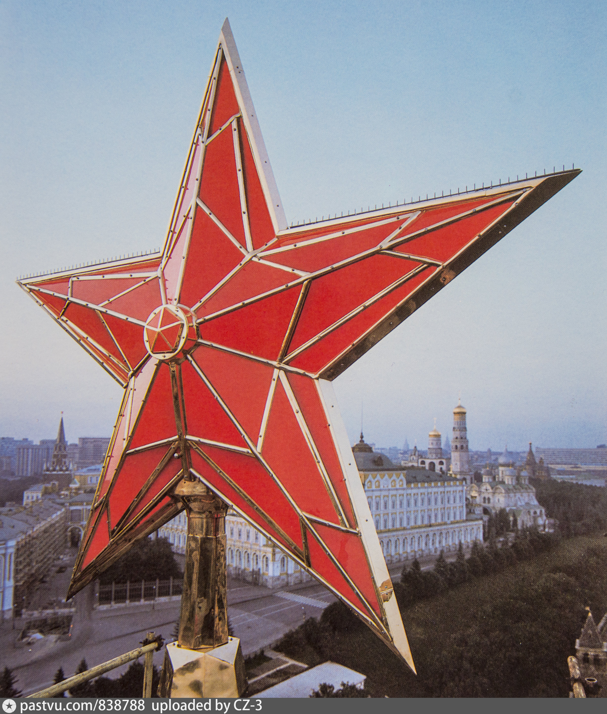 Кремлевские звезды цветы фото