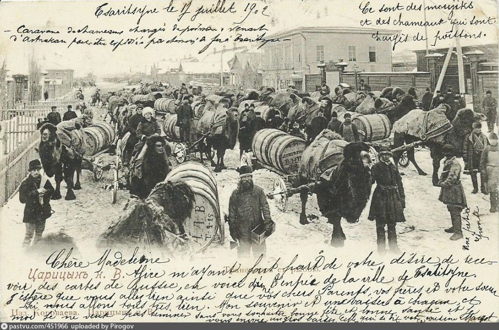 Дзержинский 1919. Царицын базарная площадь. Царицын река волга 19 век. Реальное училище царицына. Основатель города царицын.