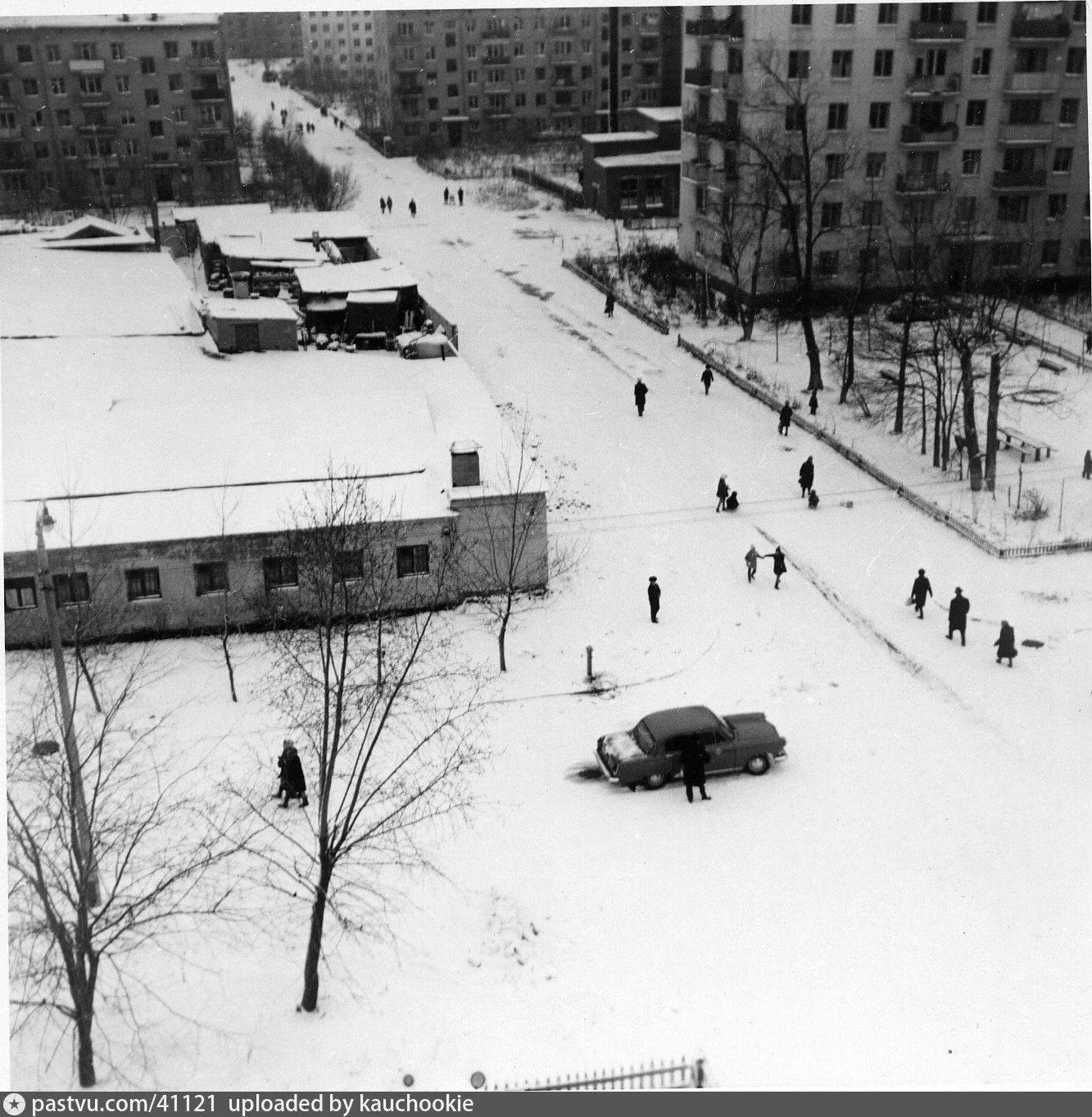 Фото Тимирязевского Района