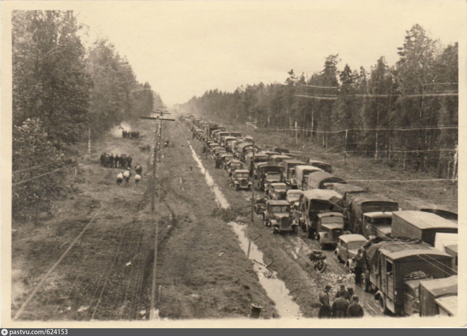 Луга 1941 фото