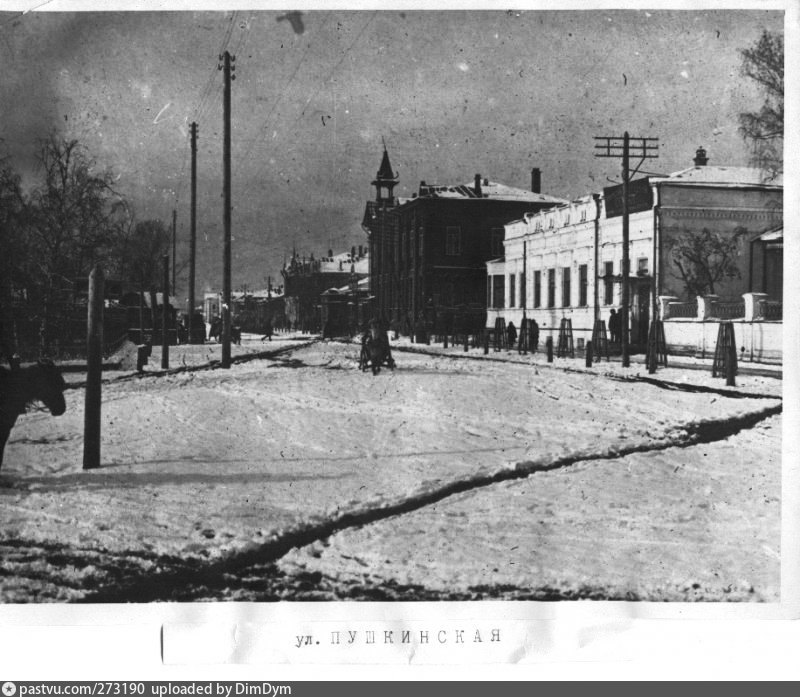 Пушкинская улица воронеж фото