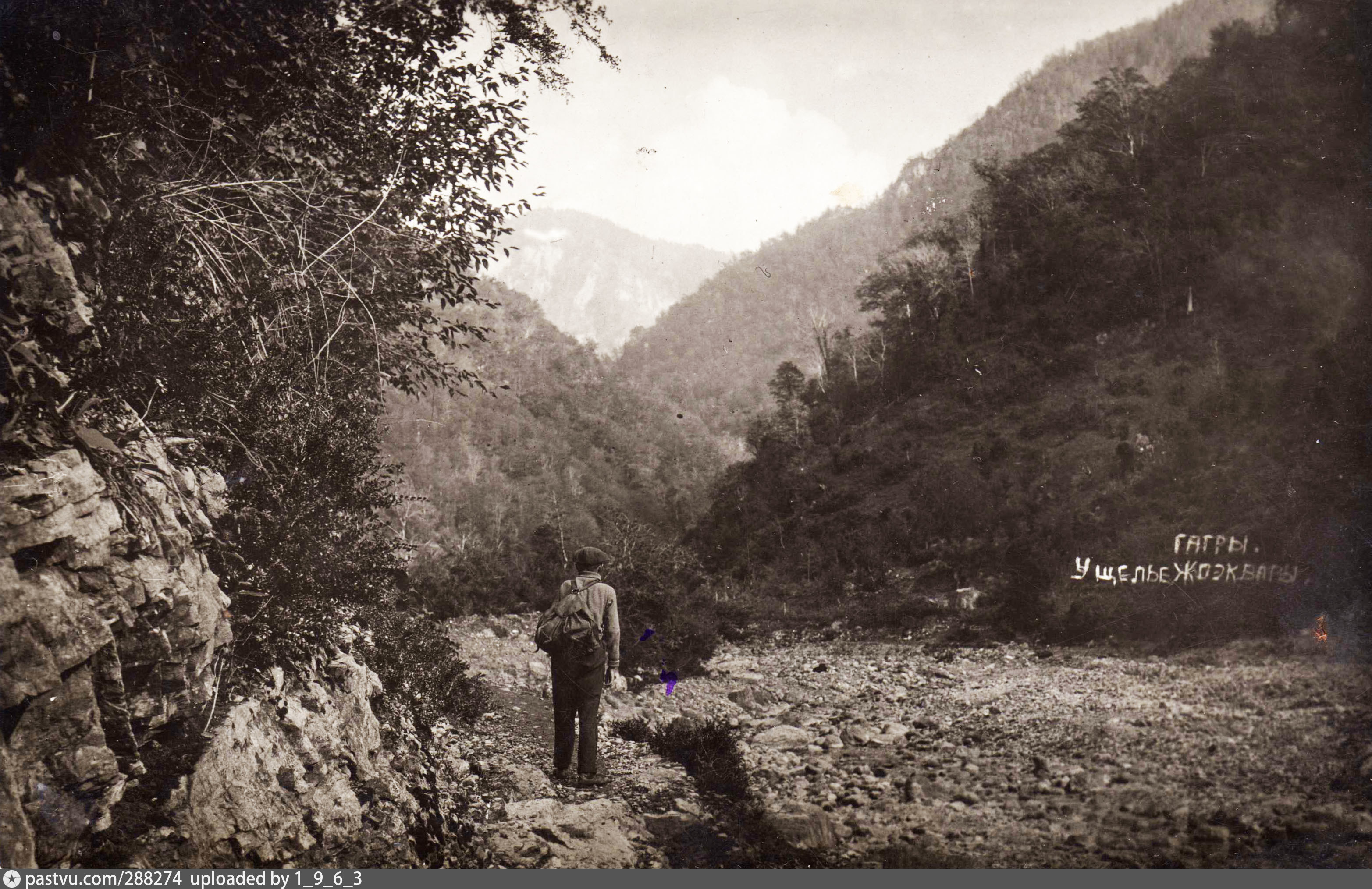 Жоэкварское ущелье в Абхазии Старая Гагра