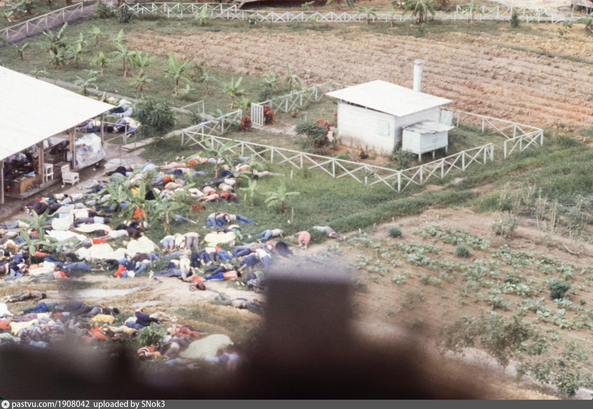 Храм народов 1978. Джонстаун массовое убийство.