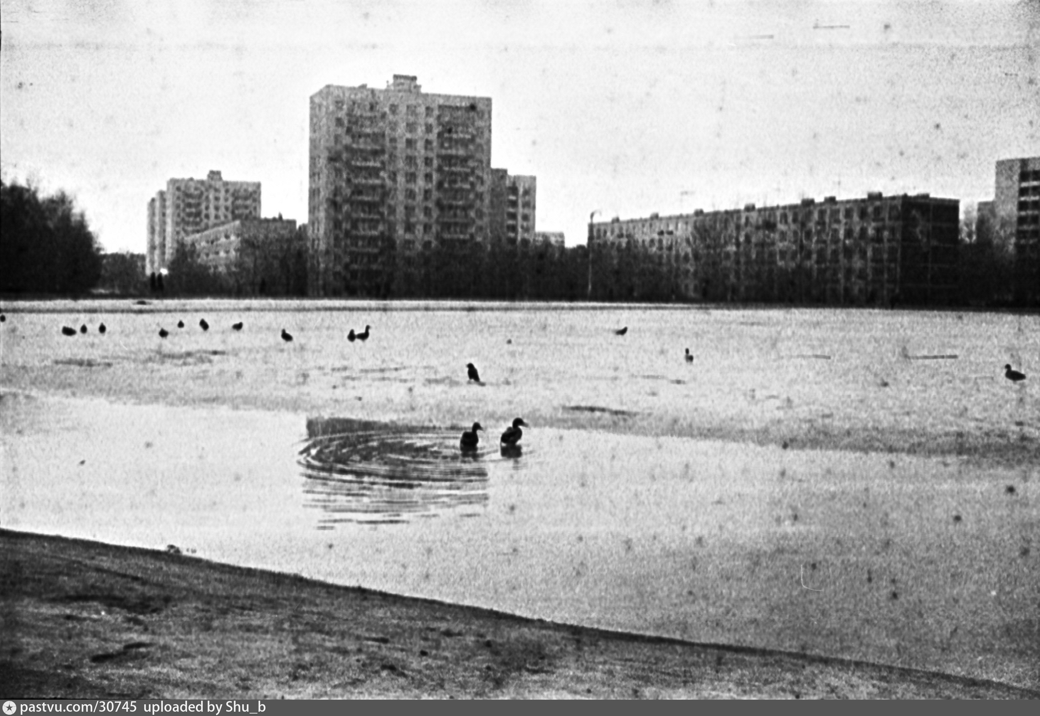 большой ангарский пруд в москве