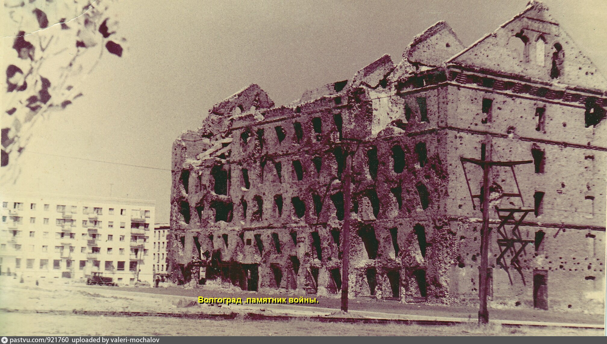 Фото дом павлова во время войны