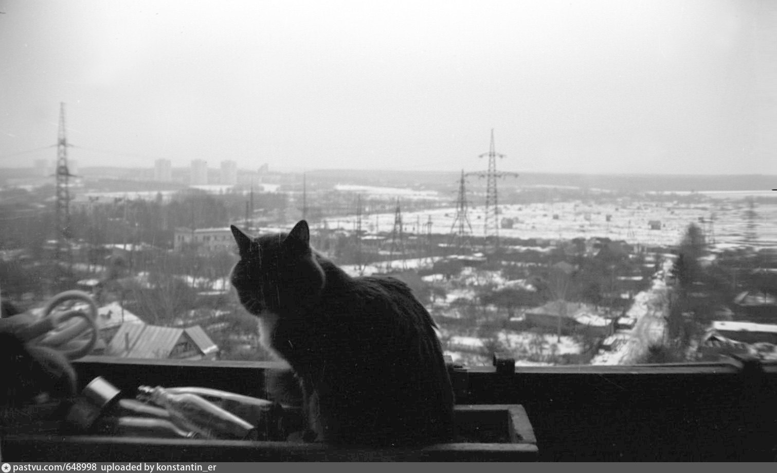 Кот на крыше закат.