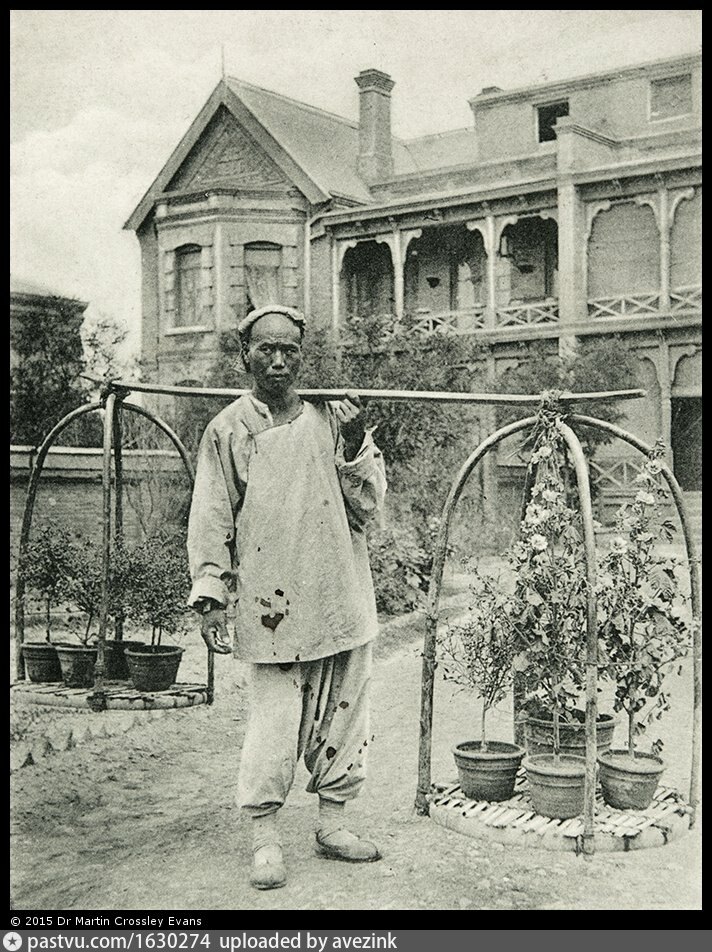 Flower Seller / Blumenhändler