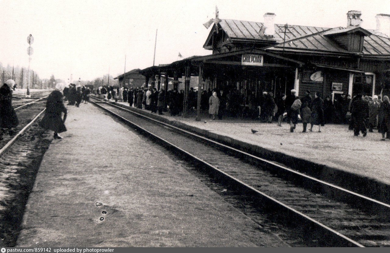 Старые фотографии сиверской