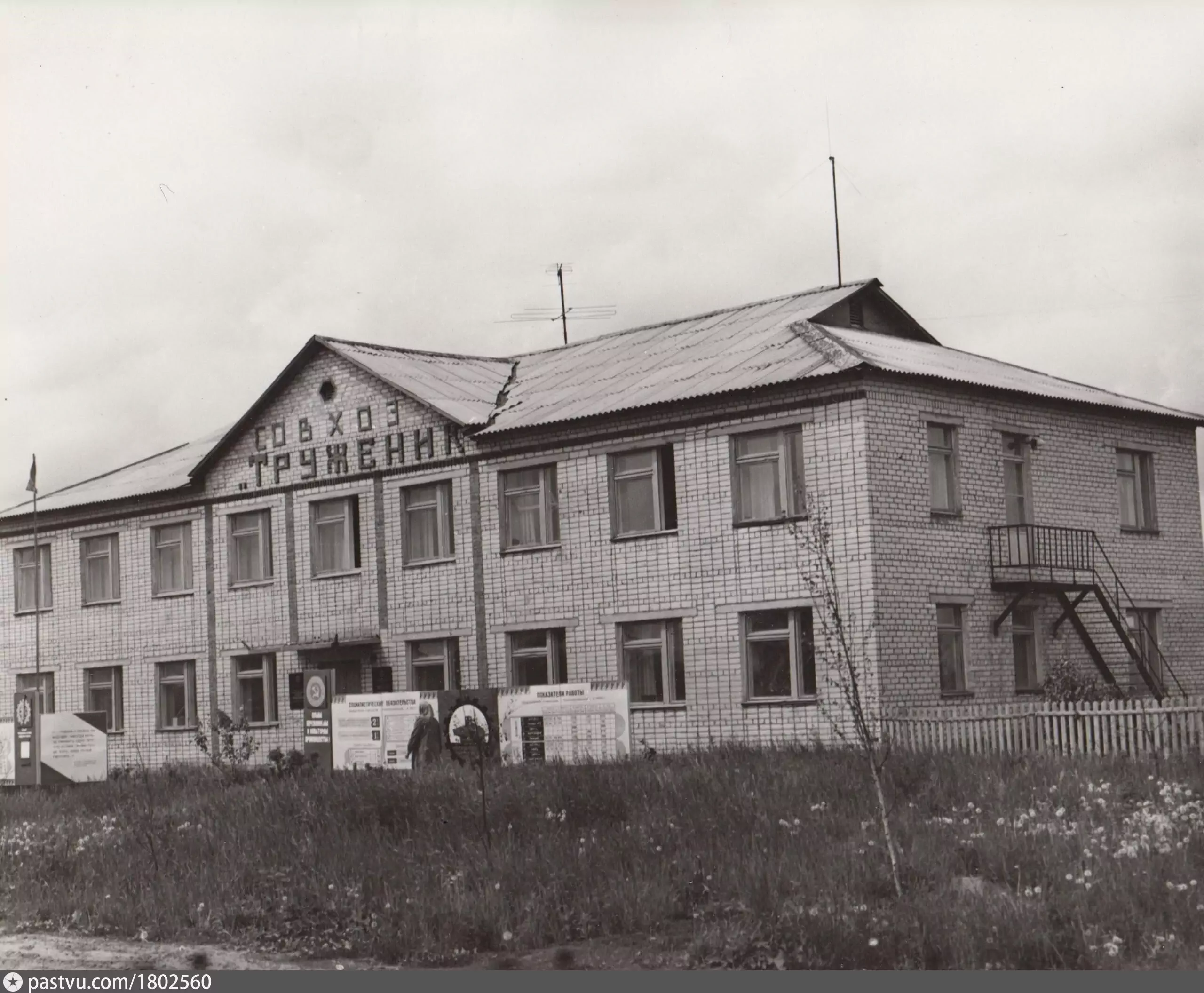 Городские совхозы