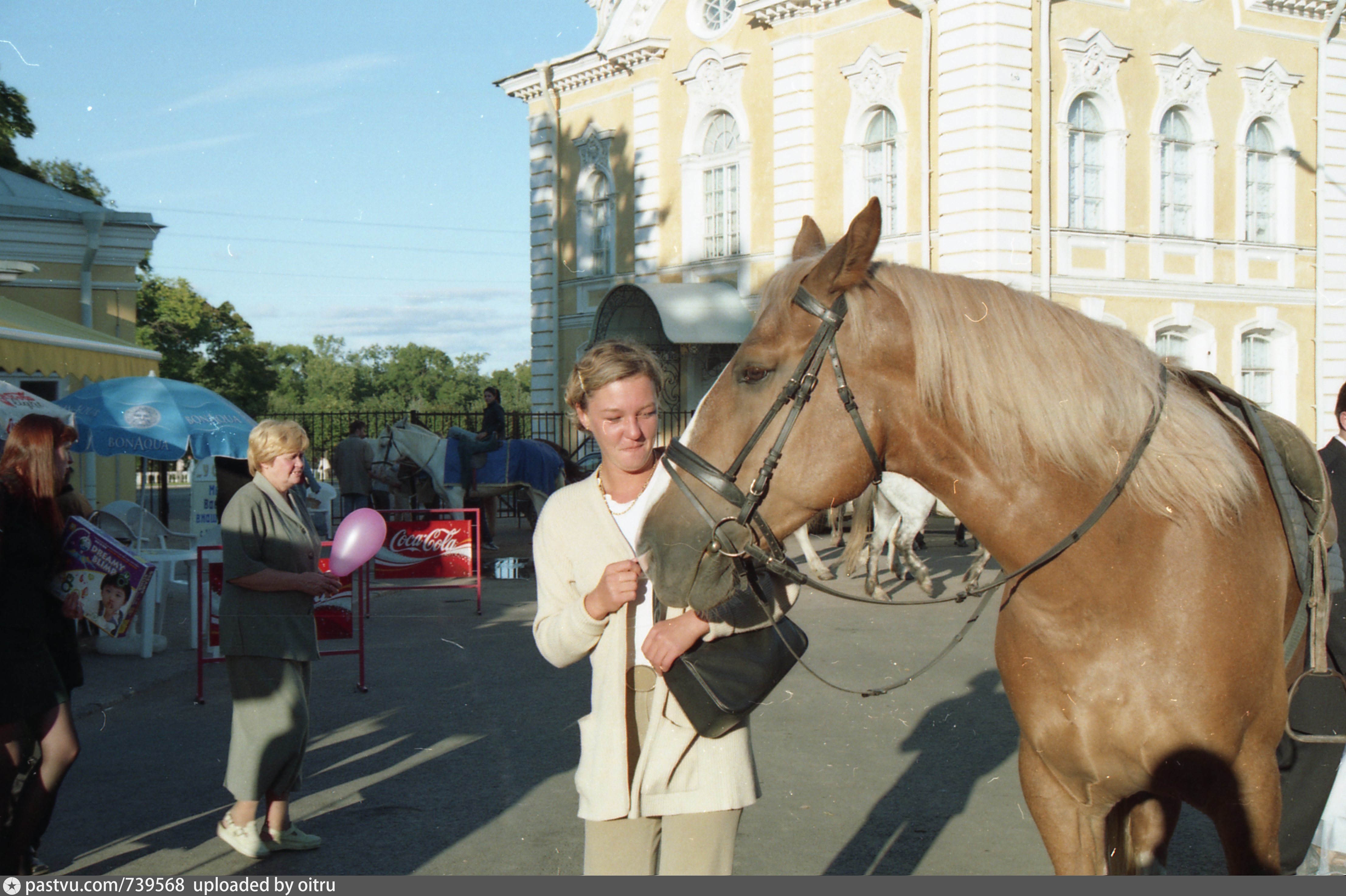 пса инвитро калининград