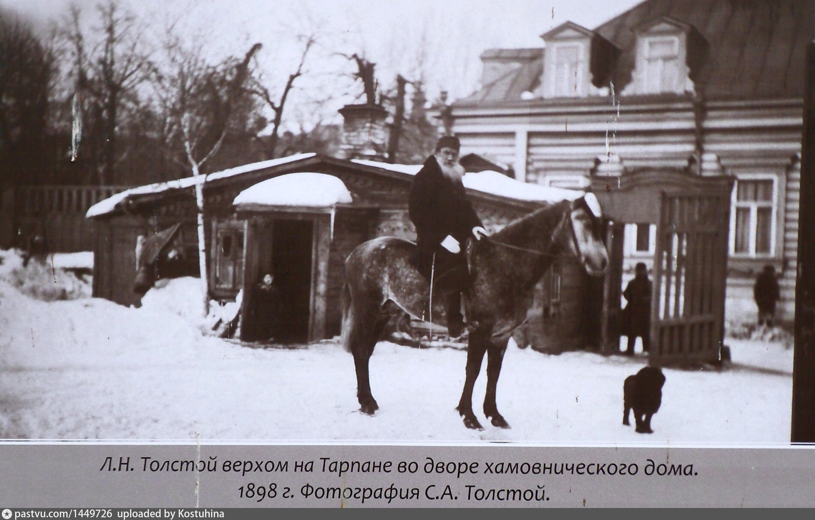 Л.Н.Толстой во дворе хамовнического дома верхом на Тарпане - Retro photos