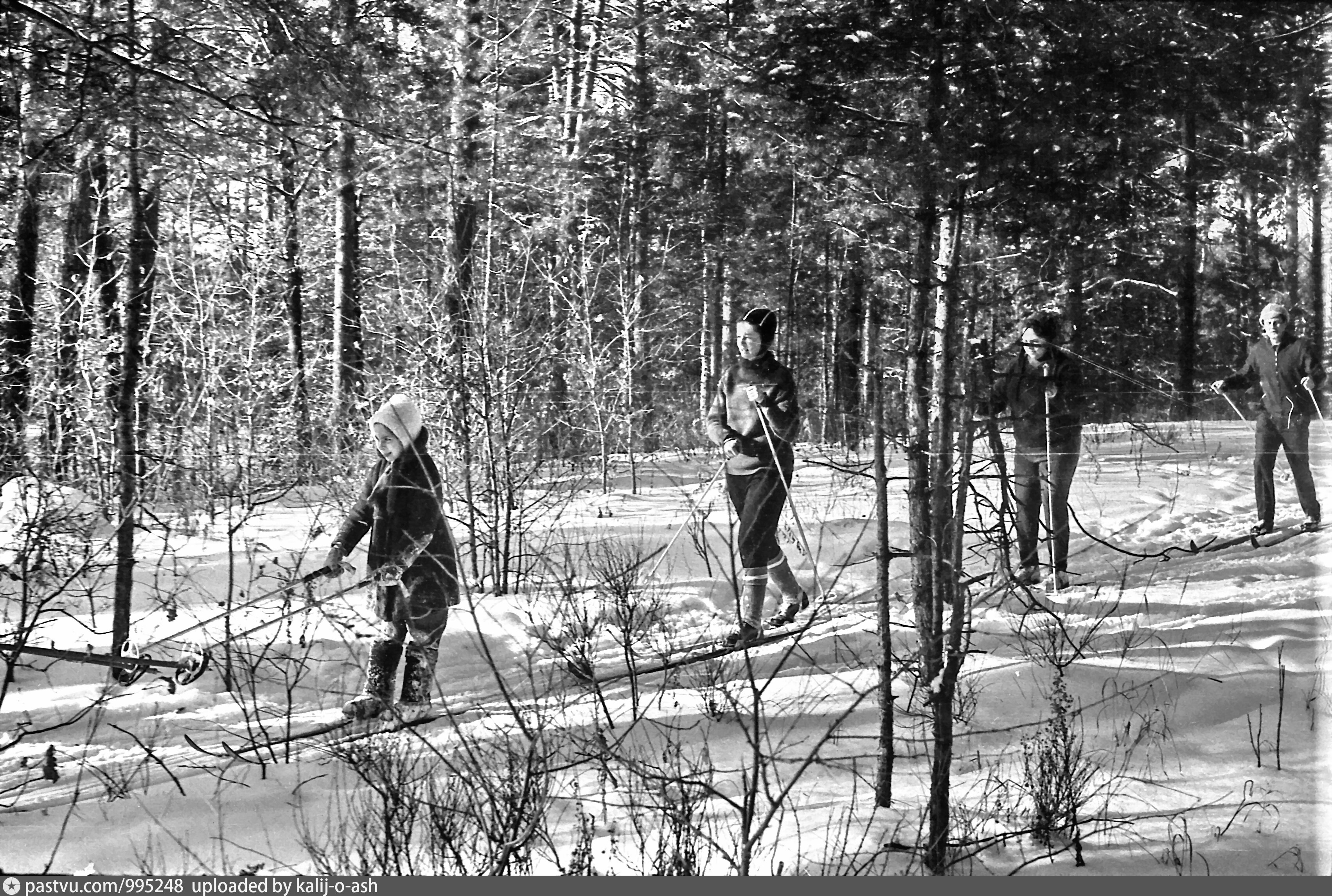 Февраль 1970 год. Лыжник 1970 годов. Прогулка на лыжах в лесу. Изо лыжная прогулка..