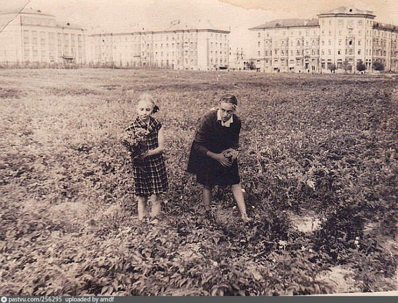 Старые фотографии октябрьского поля