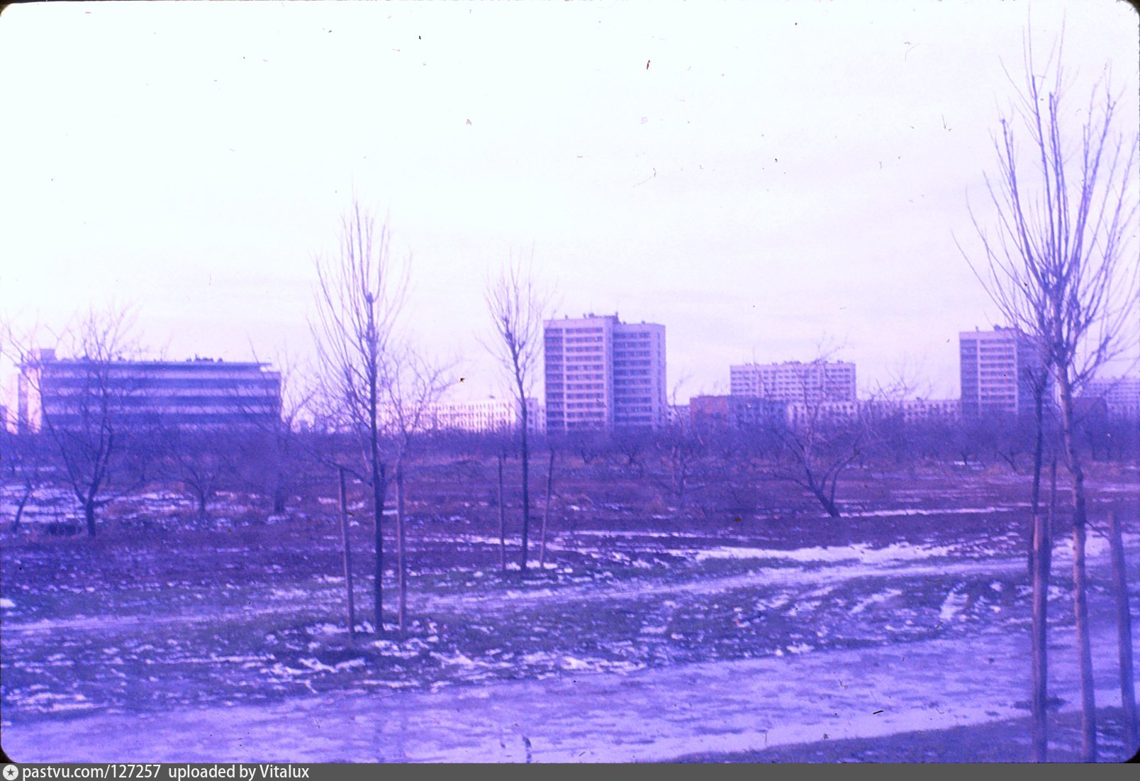 Фото пулковское шоссе старые